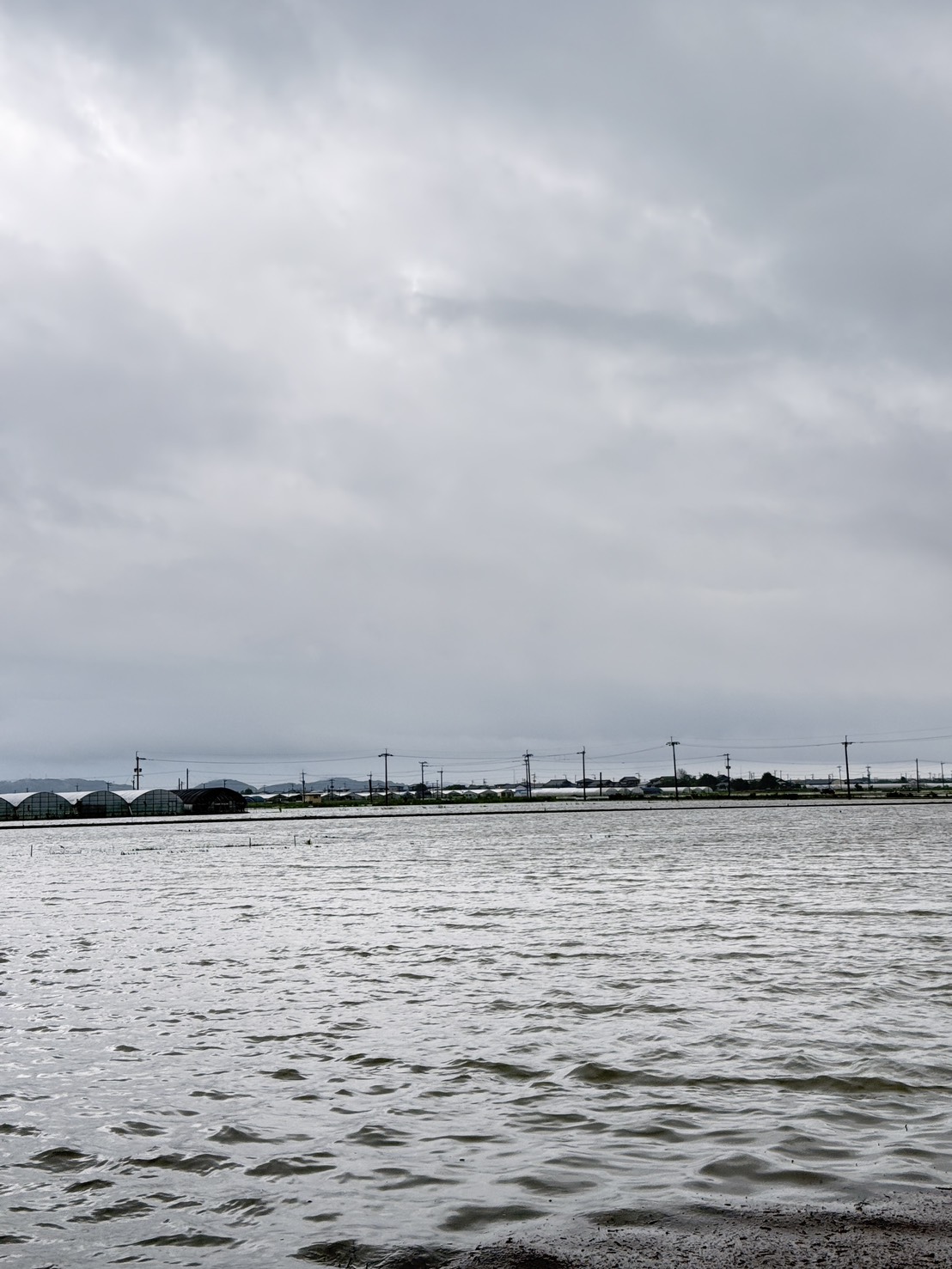 大雨が教えてくれた「水の郷・柳川」の本当の強さと、これからの願い。