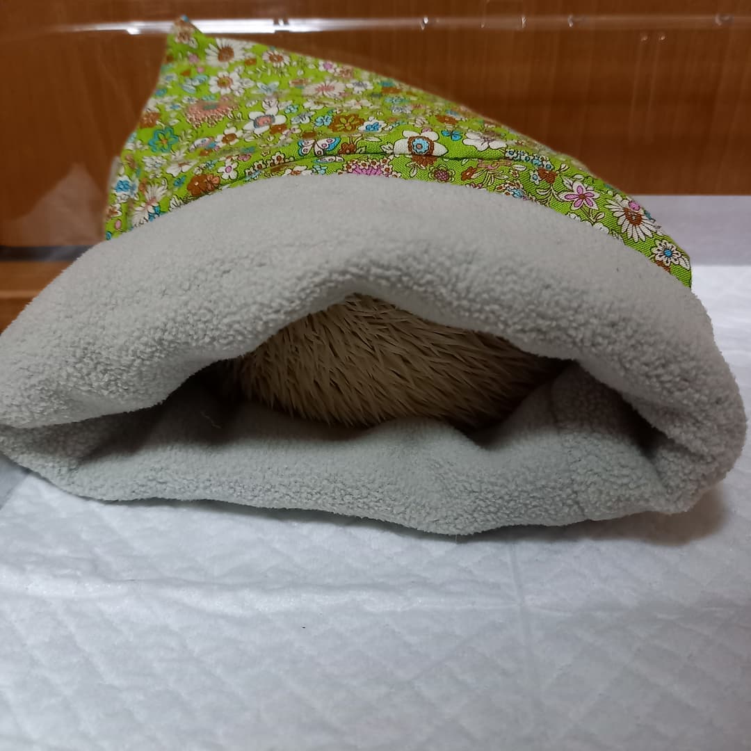 肌寒くなり、寝袋へ🦔