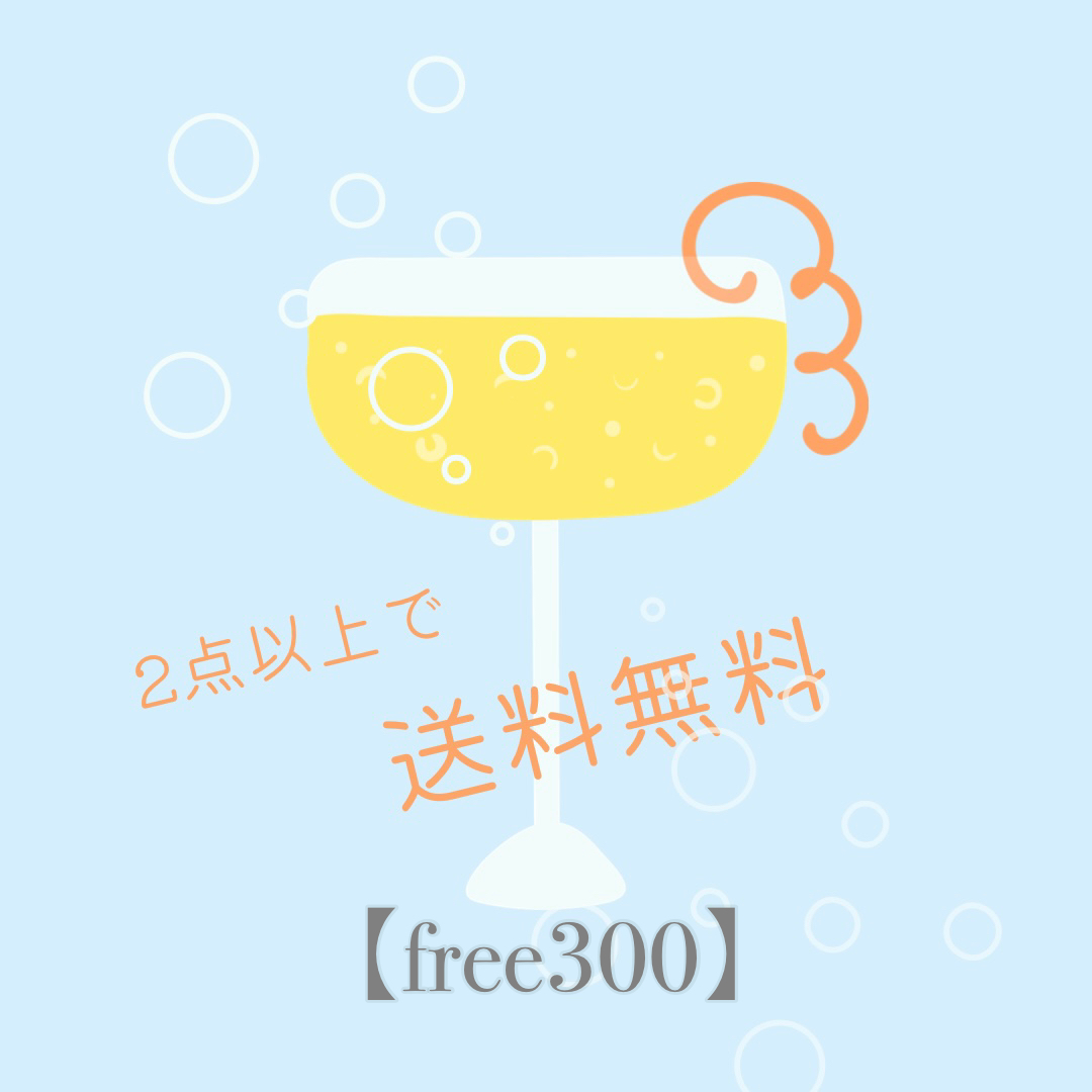 2点以上ご購入で送料無料【free300】ご入力ください🛒