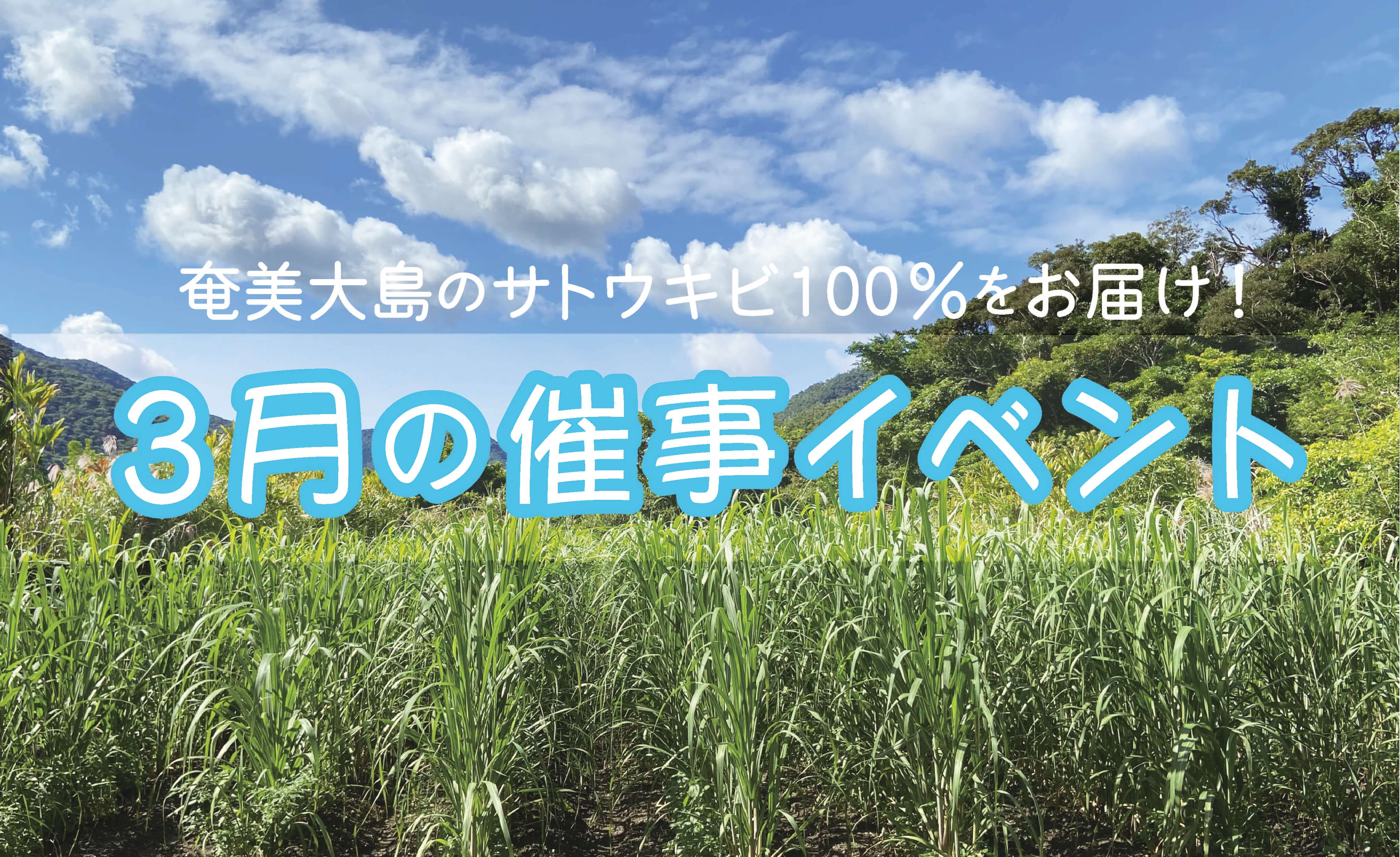 【２〜4月が旬】奄美大島のサトウキビ100%をお届け！3月の催事イベント