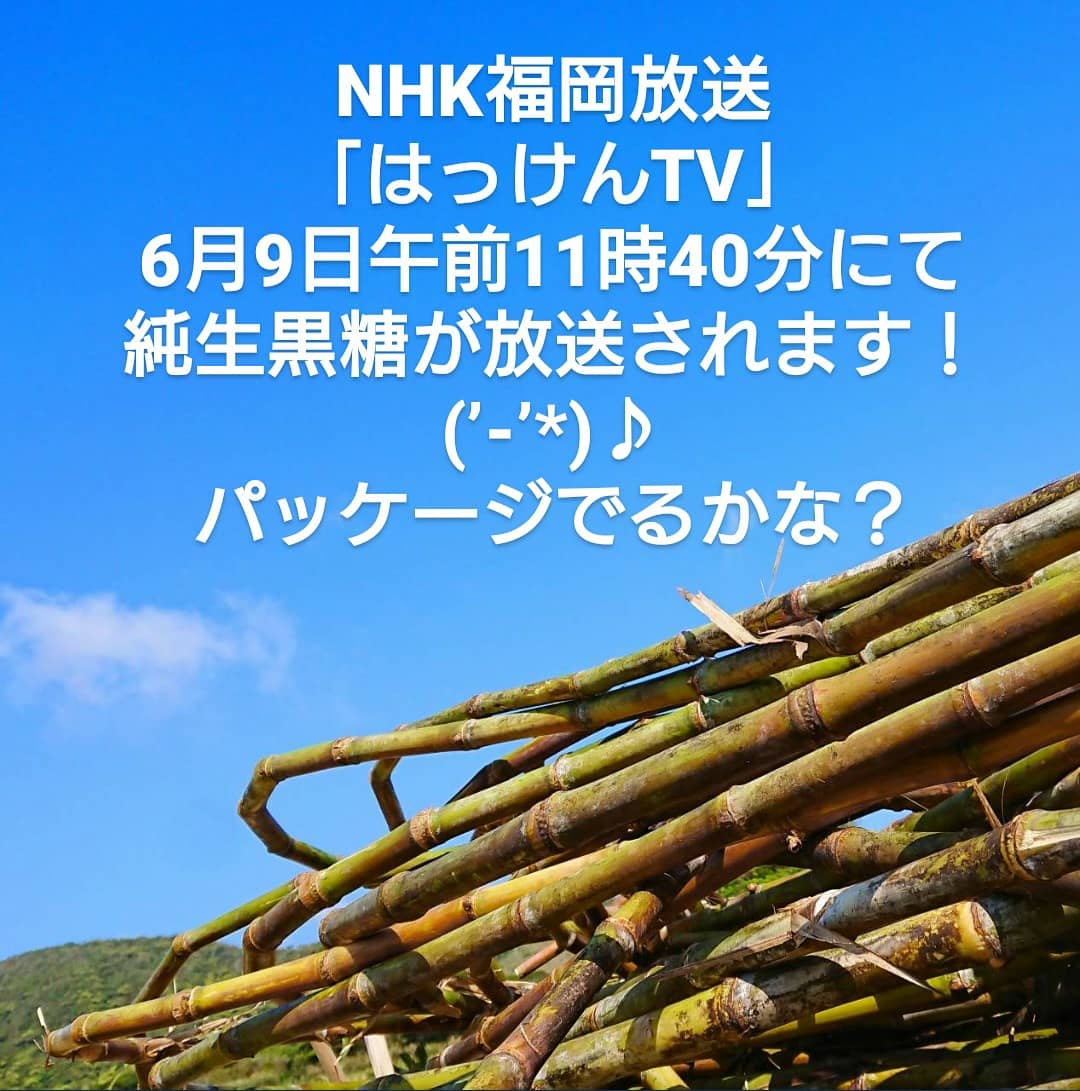 【NHK福岡放送にて純生黒糖が放送されます！(’-’*)♪】