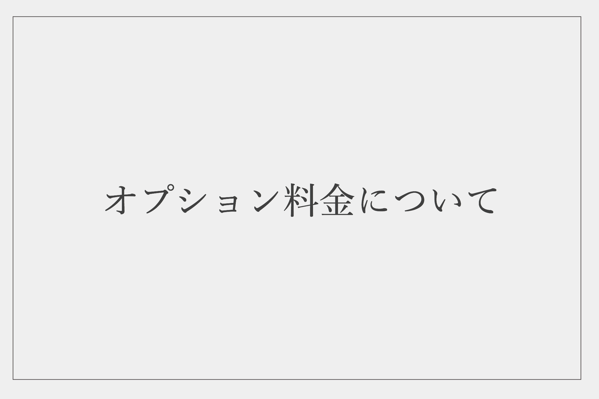 オプション料金について