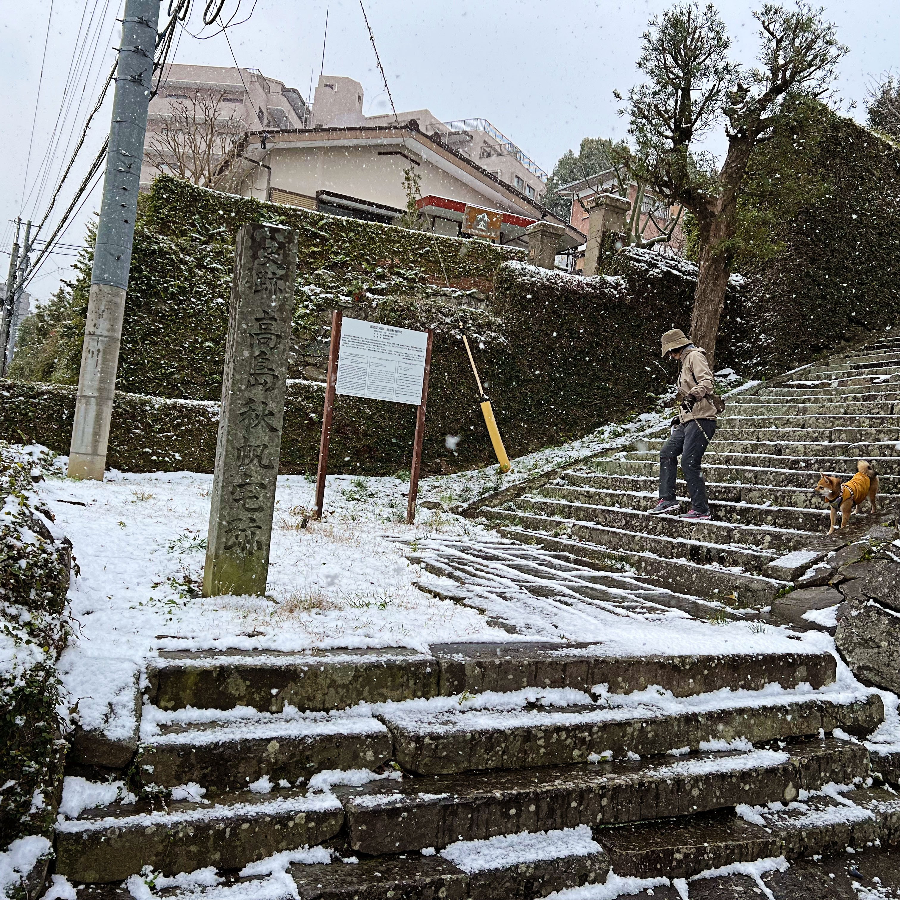 週刊てりとりぃにコラムが掲載されました！「天保の改革と長崎」