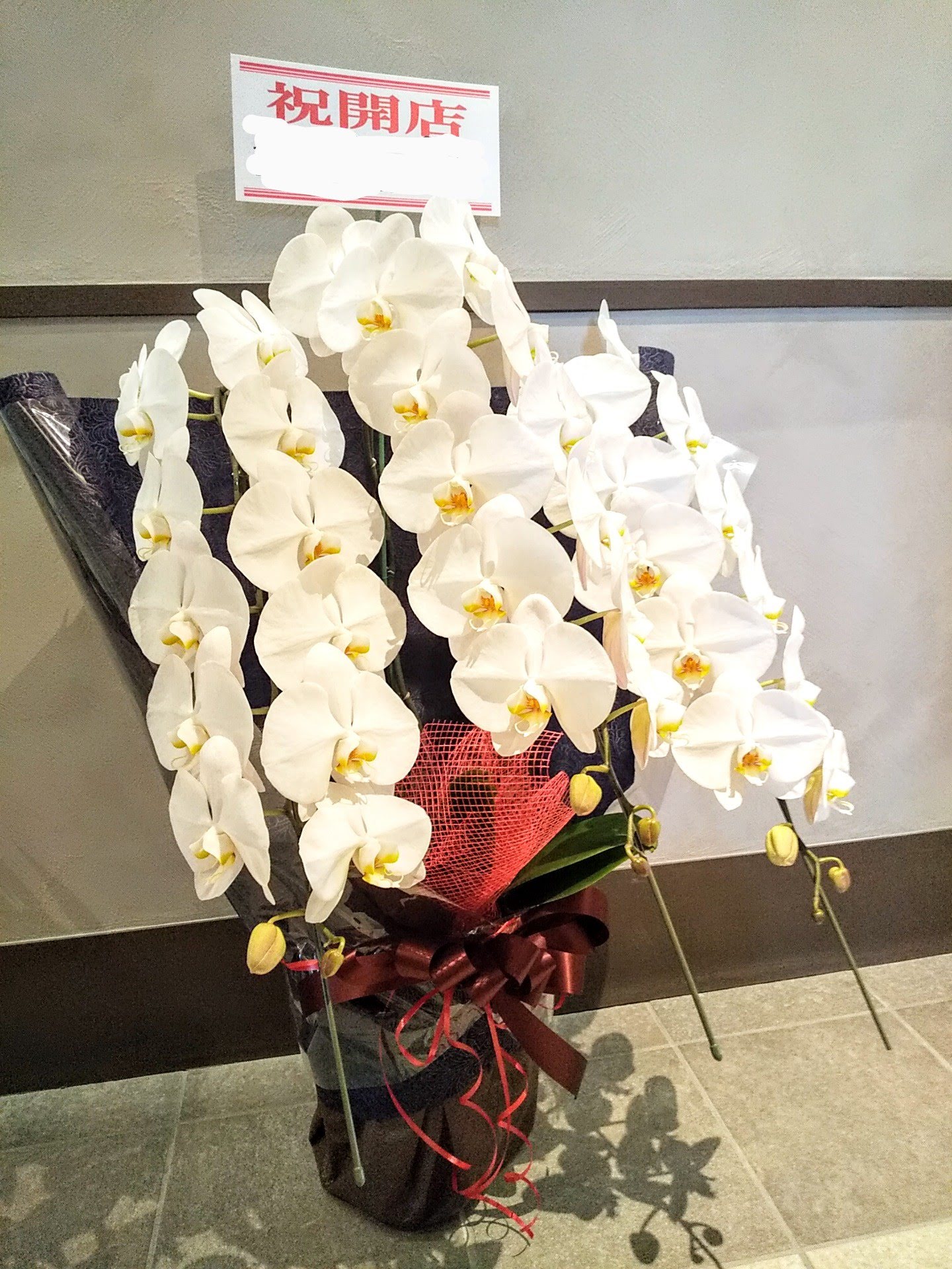 開店お祝いの胡蝶蘭お届けいたしました。　【札幌市北区太平のお花屋さん　花だより】