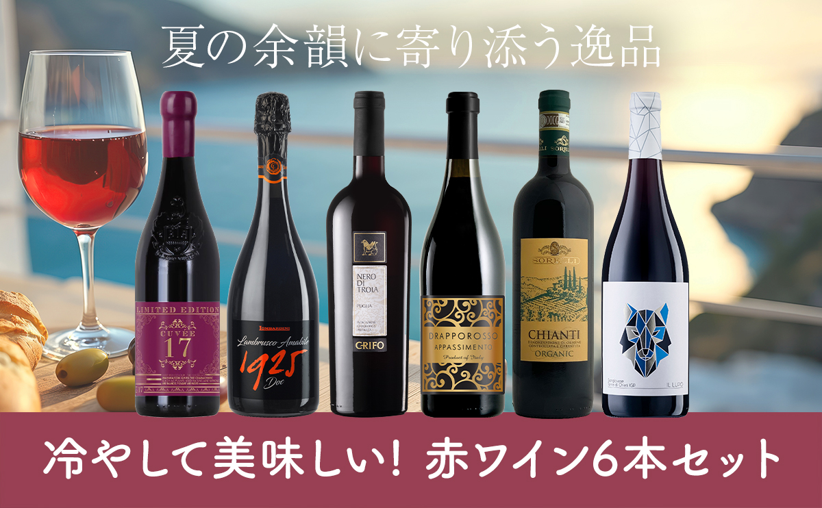 冷やして美味しい！赤ワイン6本セット〈送料無料・24%OFF〉