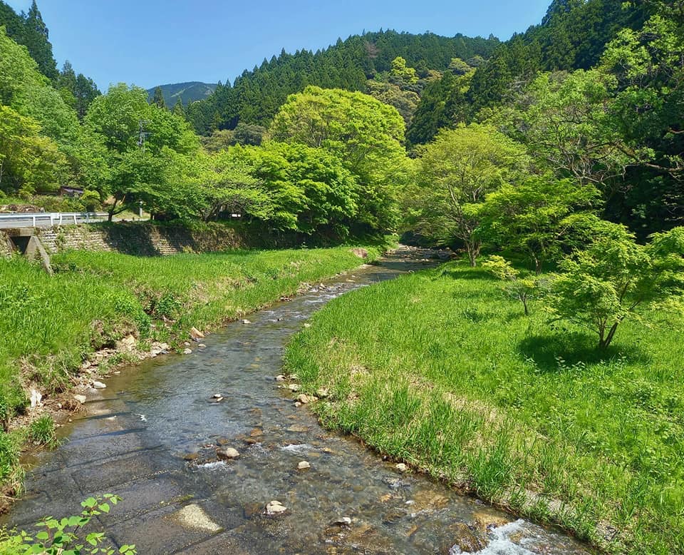 滝の谷不動峡、新緑と清流
