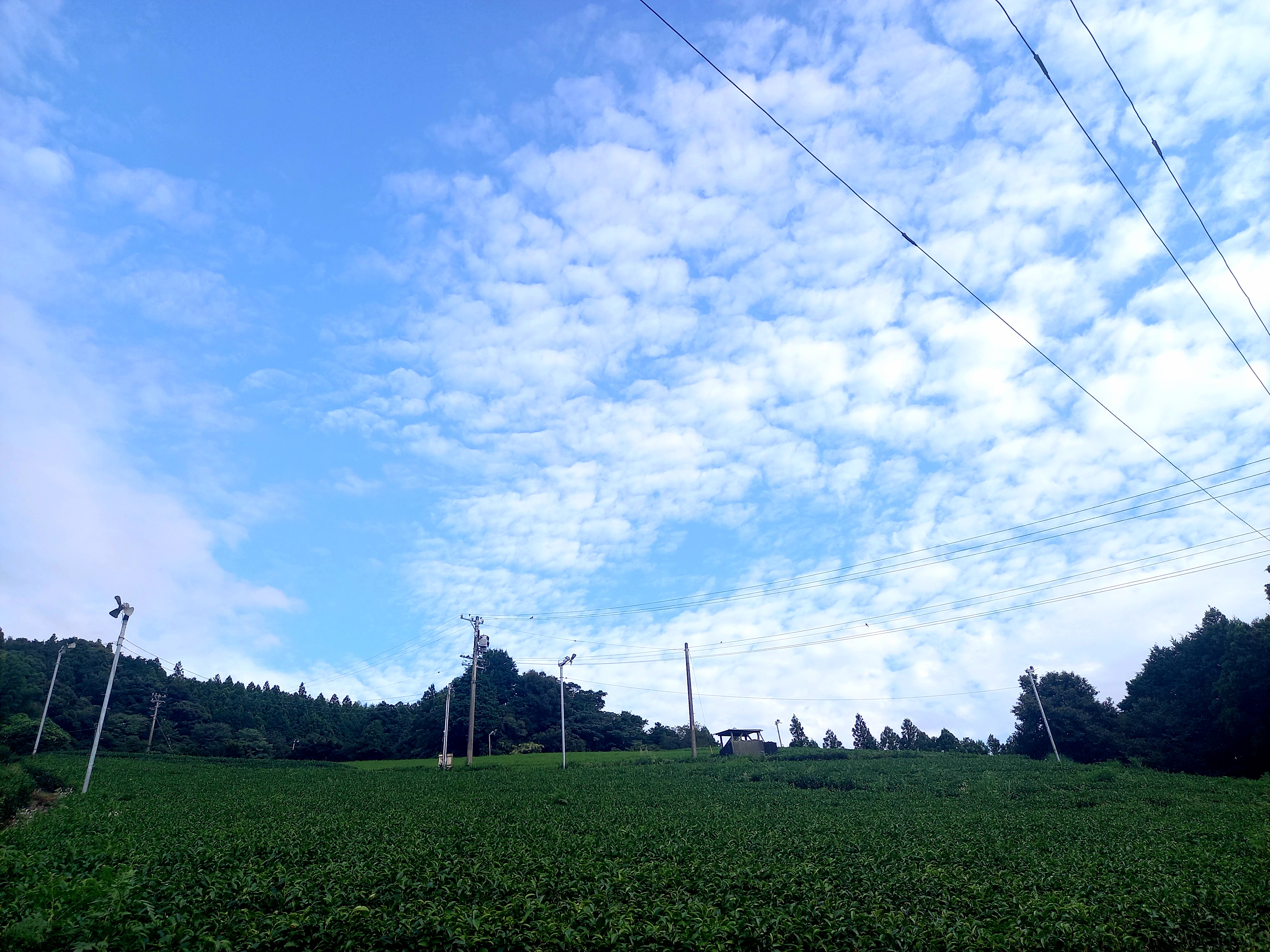 秋の空