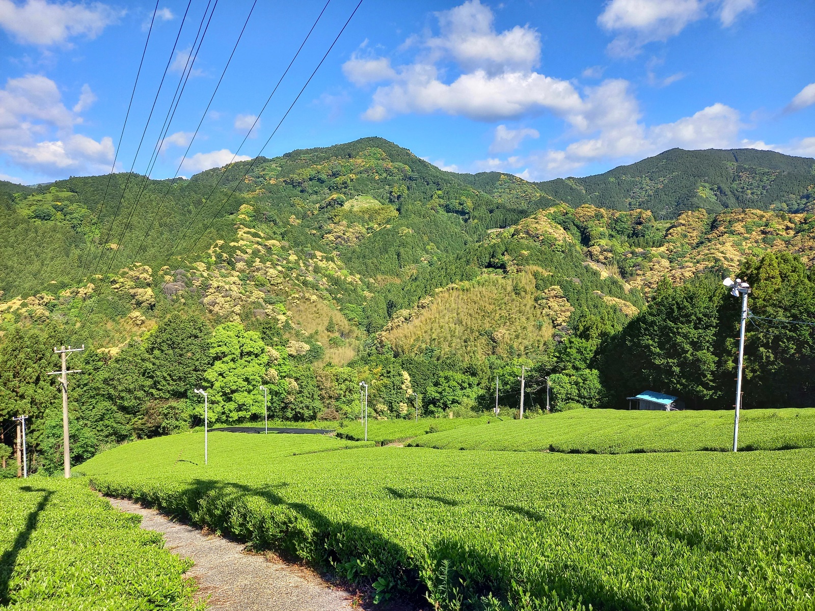 不安定な天気