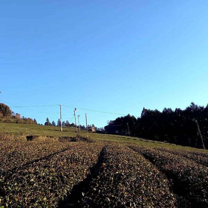 東日本大震災から