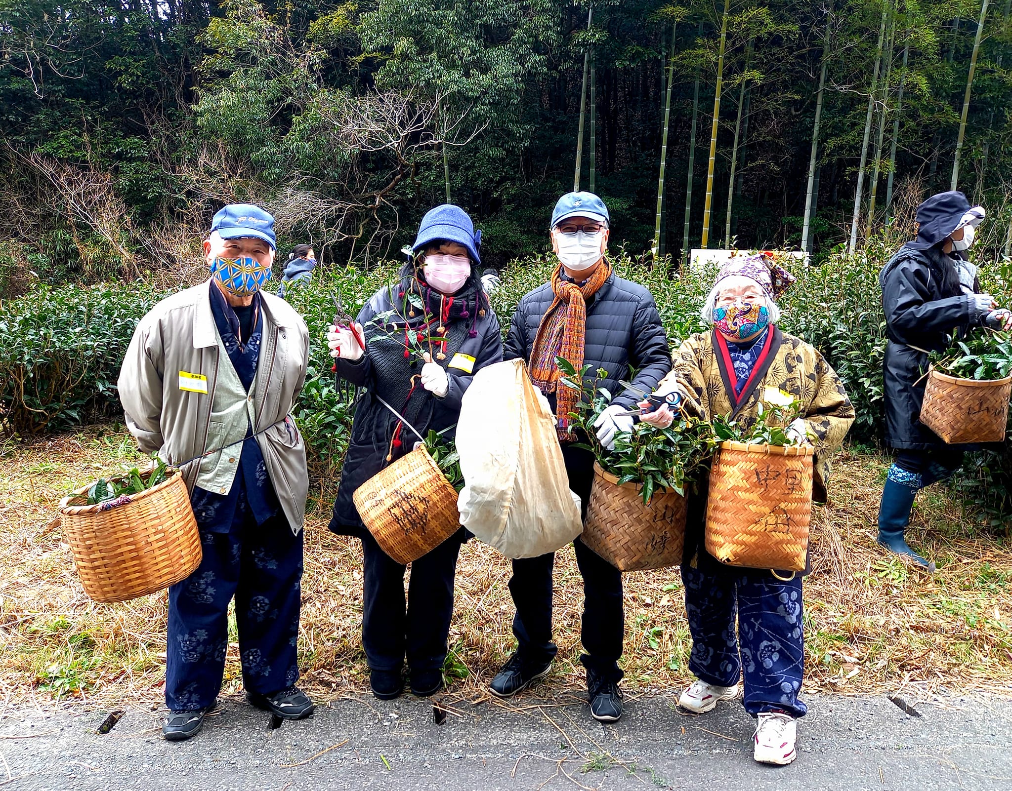 1月30日　寒茶作り体験会　土と太陽の会