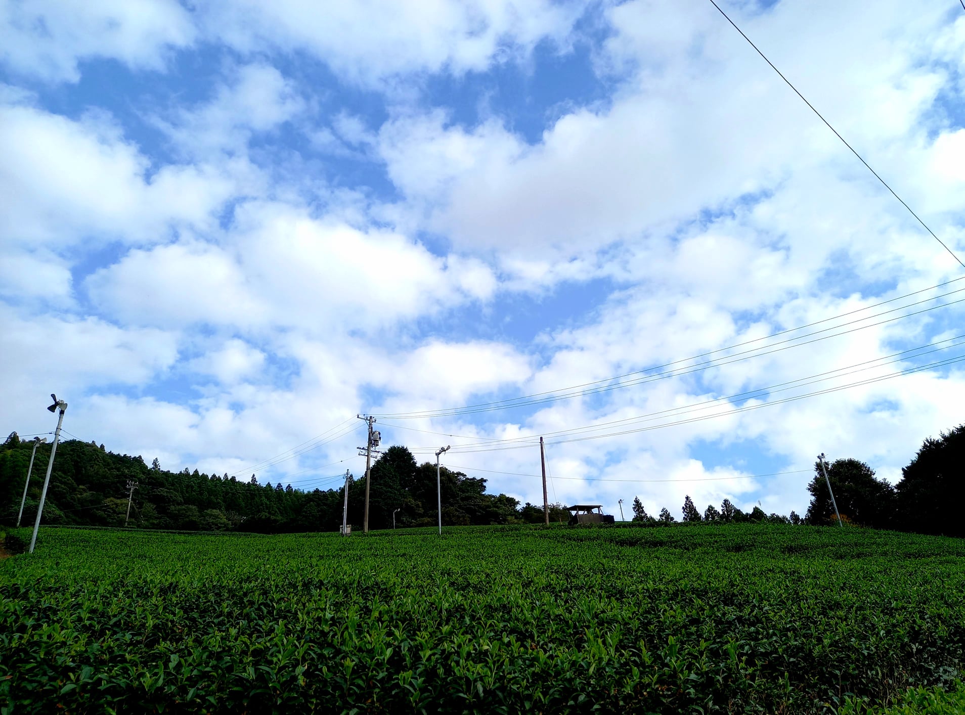 秋の空