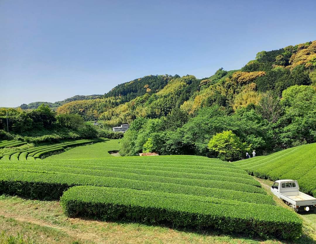 春の農村