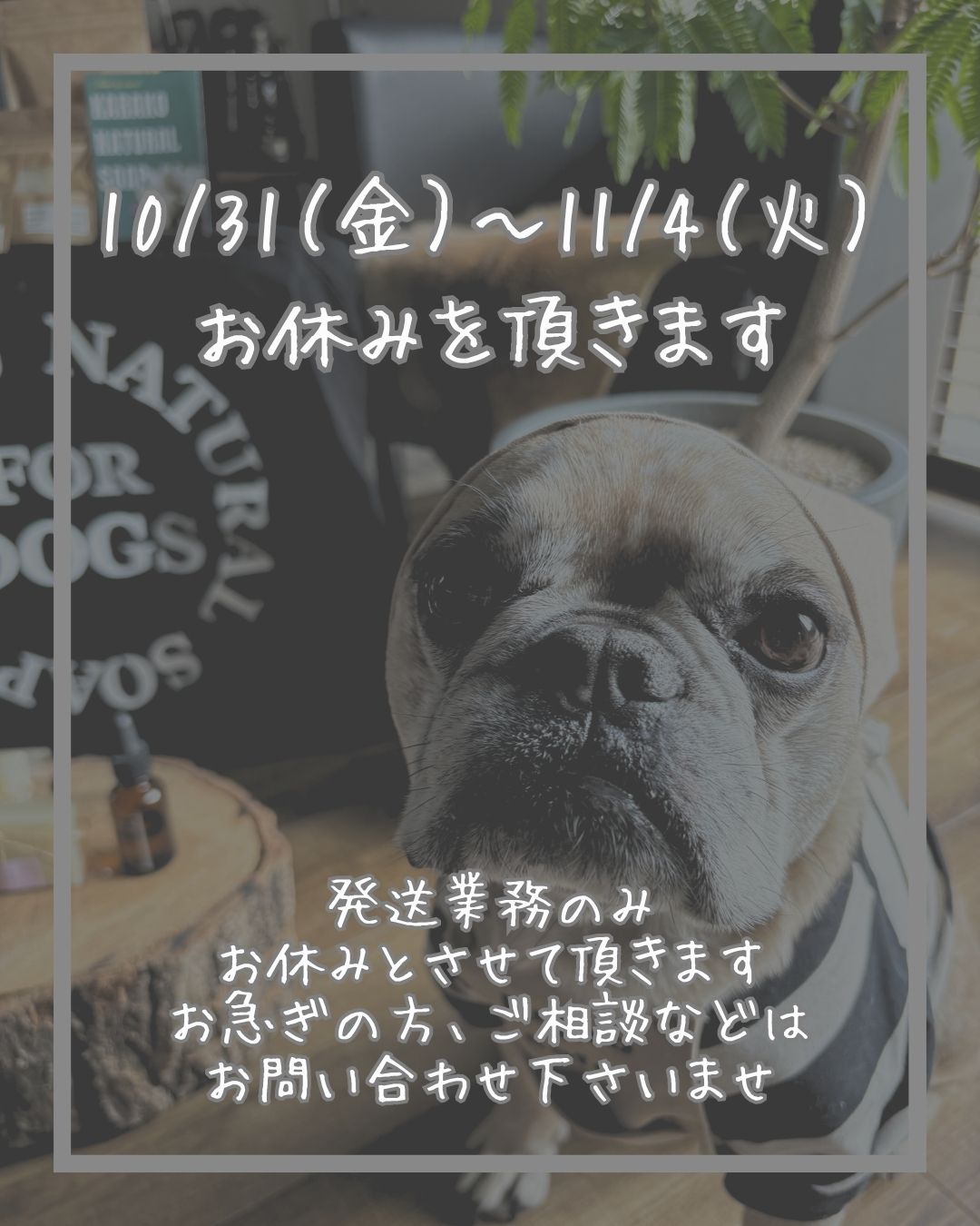 お休みのお知らせ