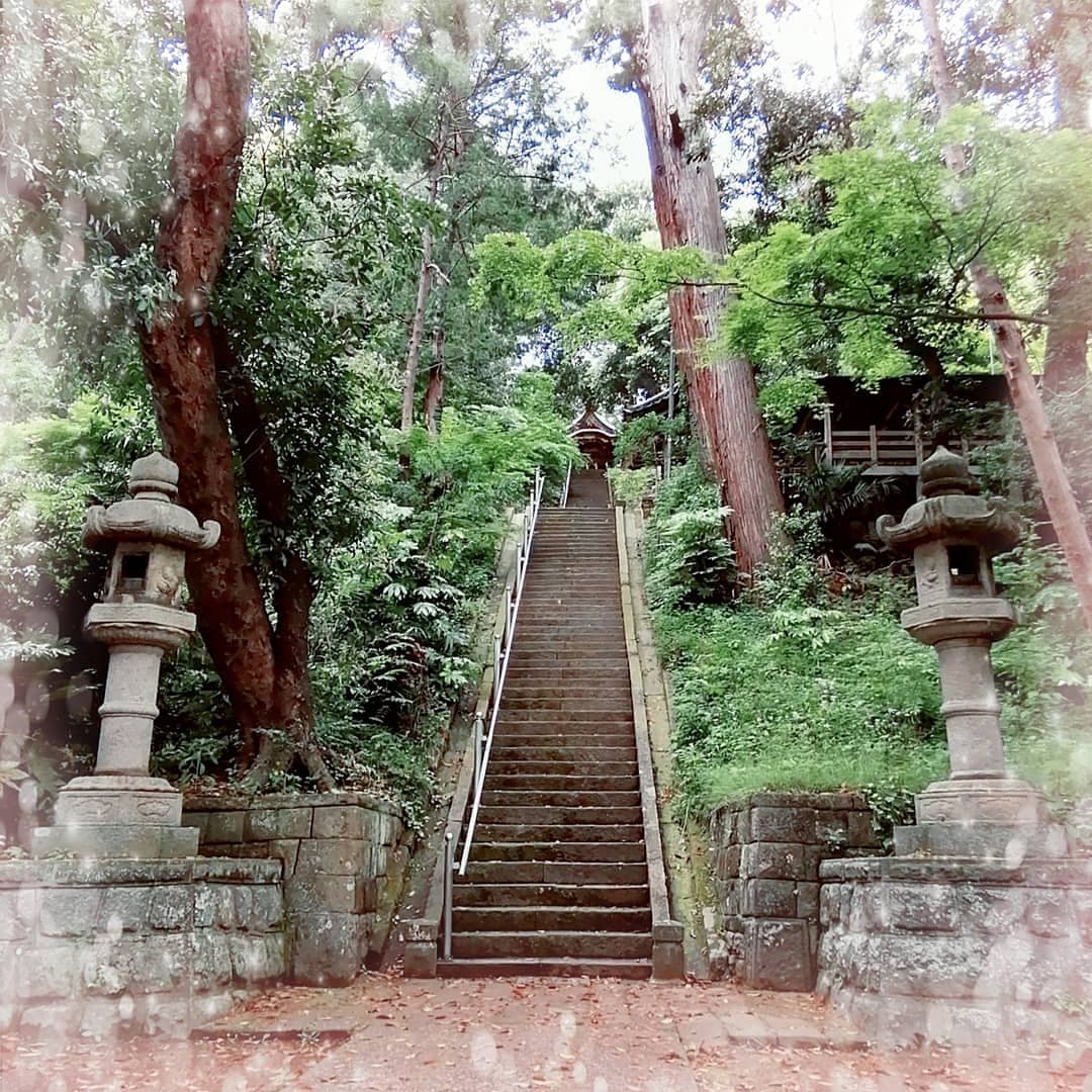 ✨⛩荘厳な佐原諏訪神社⛩✨