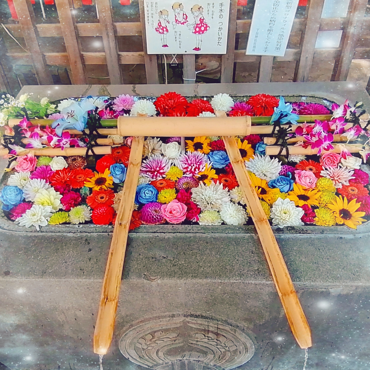 💐⛩下谷神社の花手水⛩💐