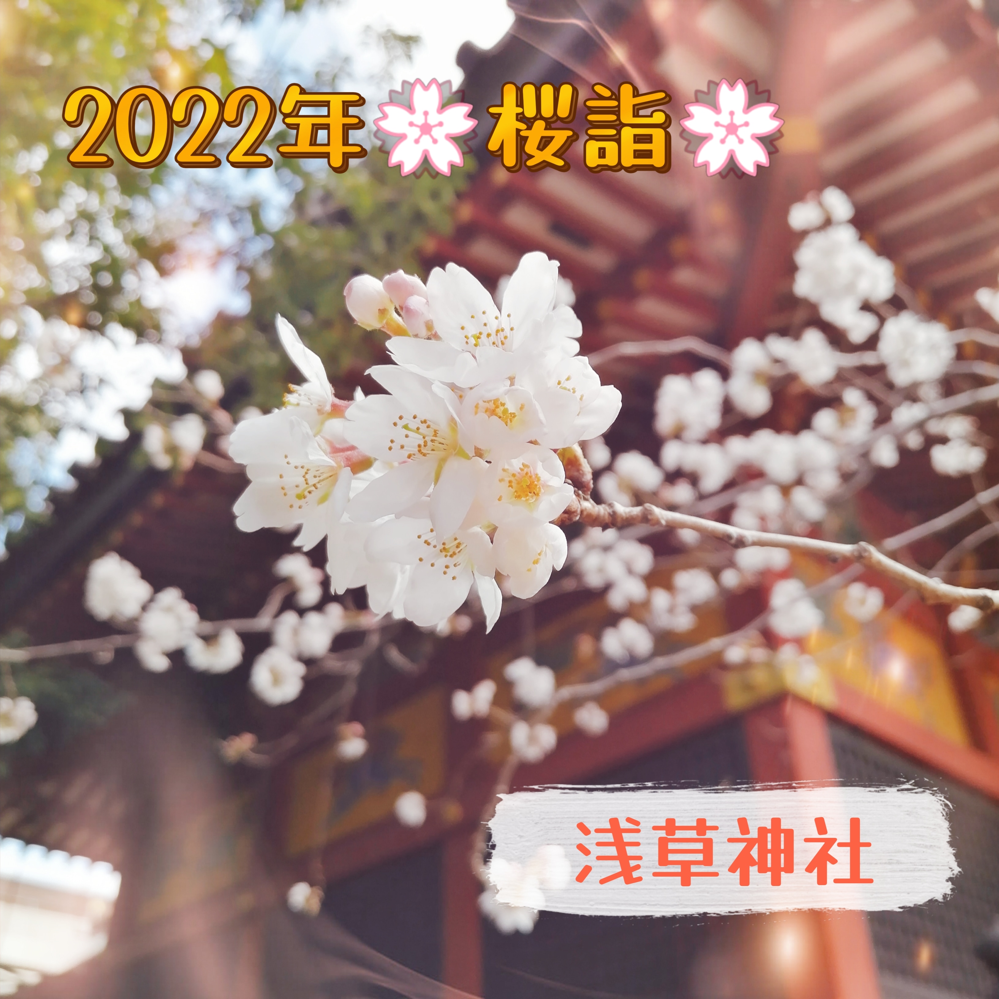 ★2022年🌸桜詣🌸
