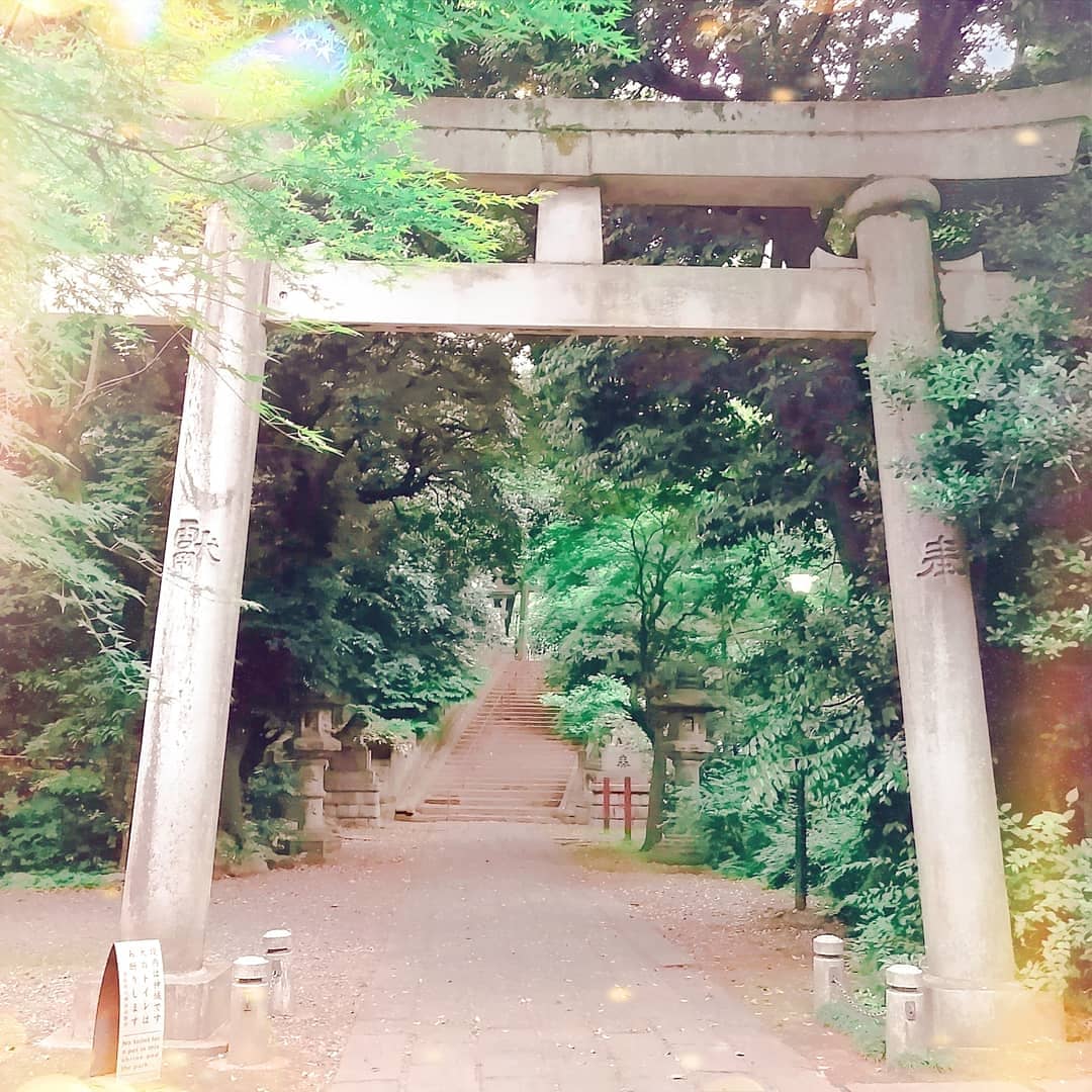 🌲✨霧雨の赤坂氷川神社✨🌲