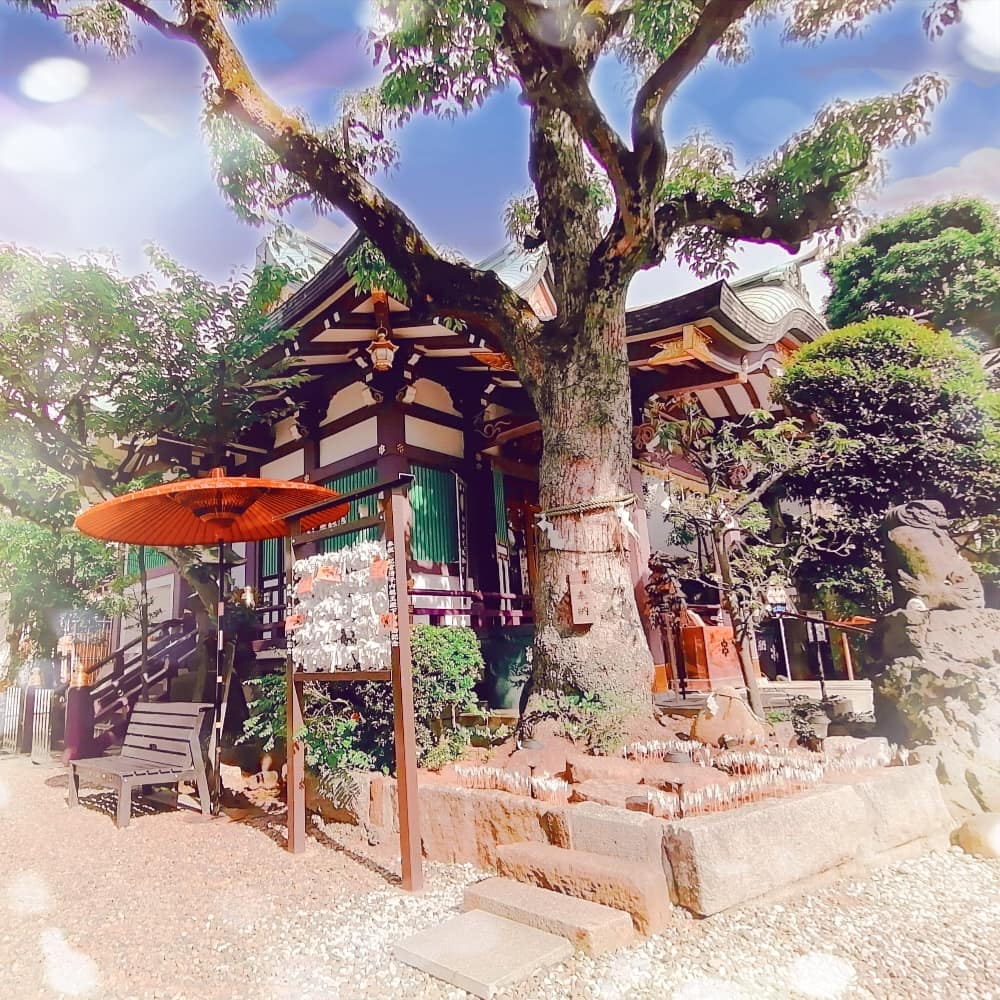 ✨🍀癒やしの空間『高木神社』🍀✨