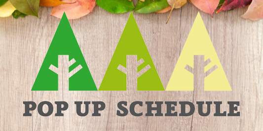 POP UPのスケジュールはこちら!!!