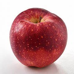 紅いわてのご紹介