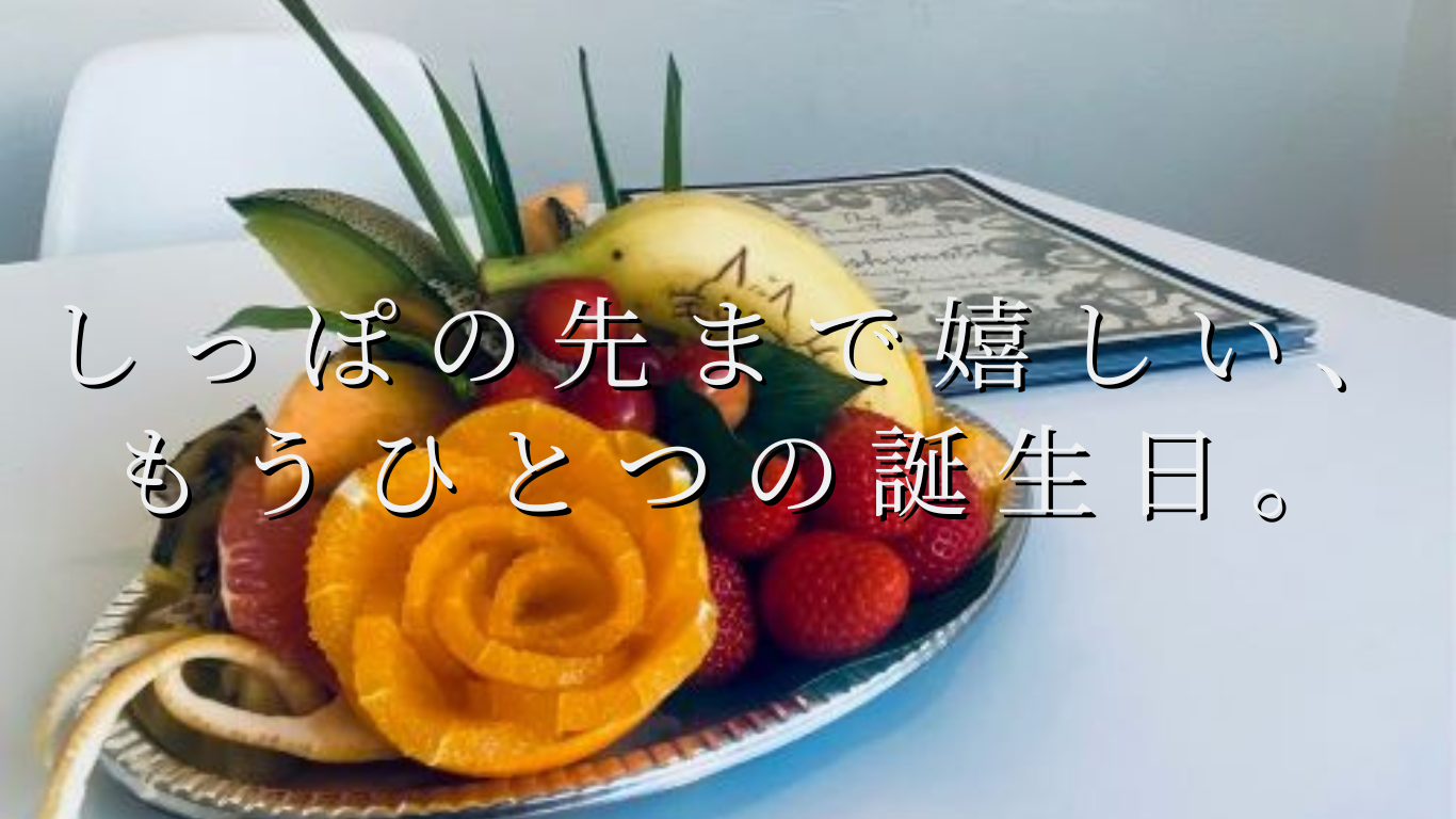 しっぽの先まで嬉しい、もうひとつの誕生日。