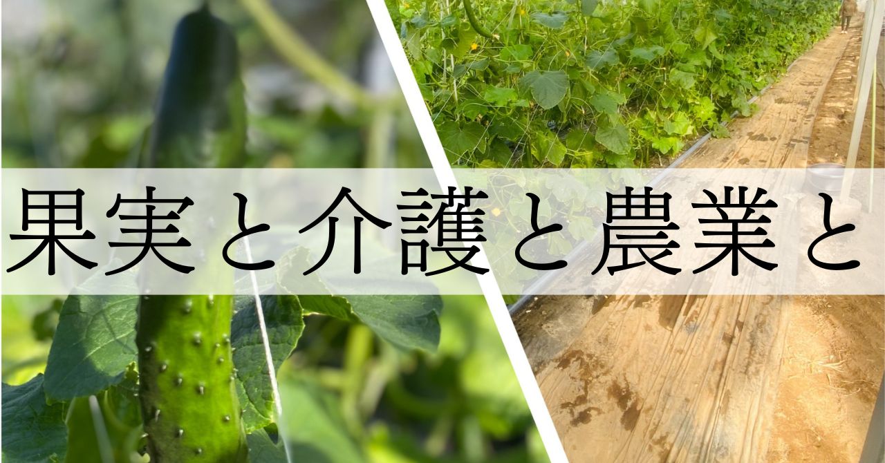 果実と介護と農業と①