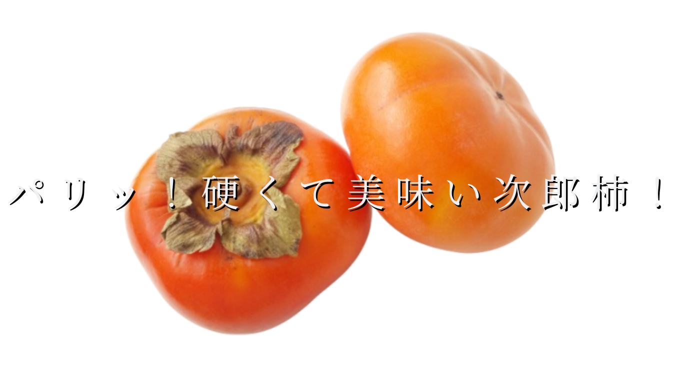 パリッ!硬くて美味い次郎柿!