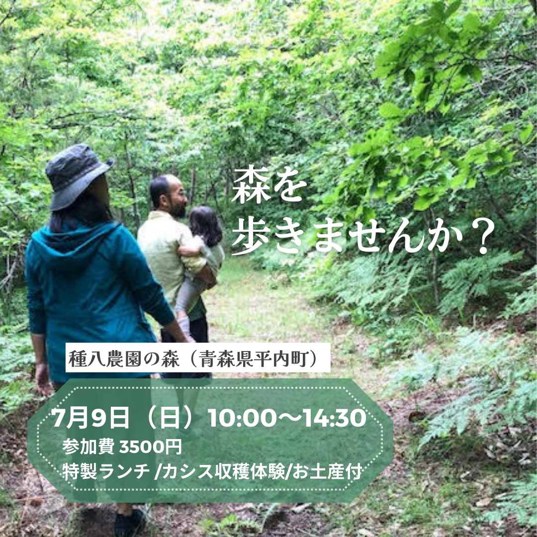 ＜締め切りました＞青森県平内町 開催「種八農園さんの森歩きとカシスの収穫ちょこっと体験」