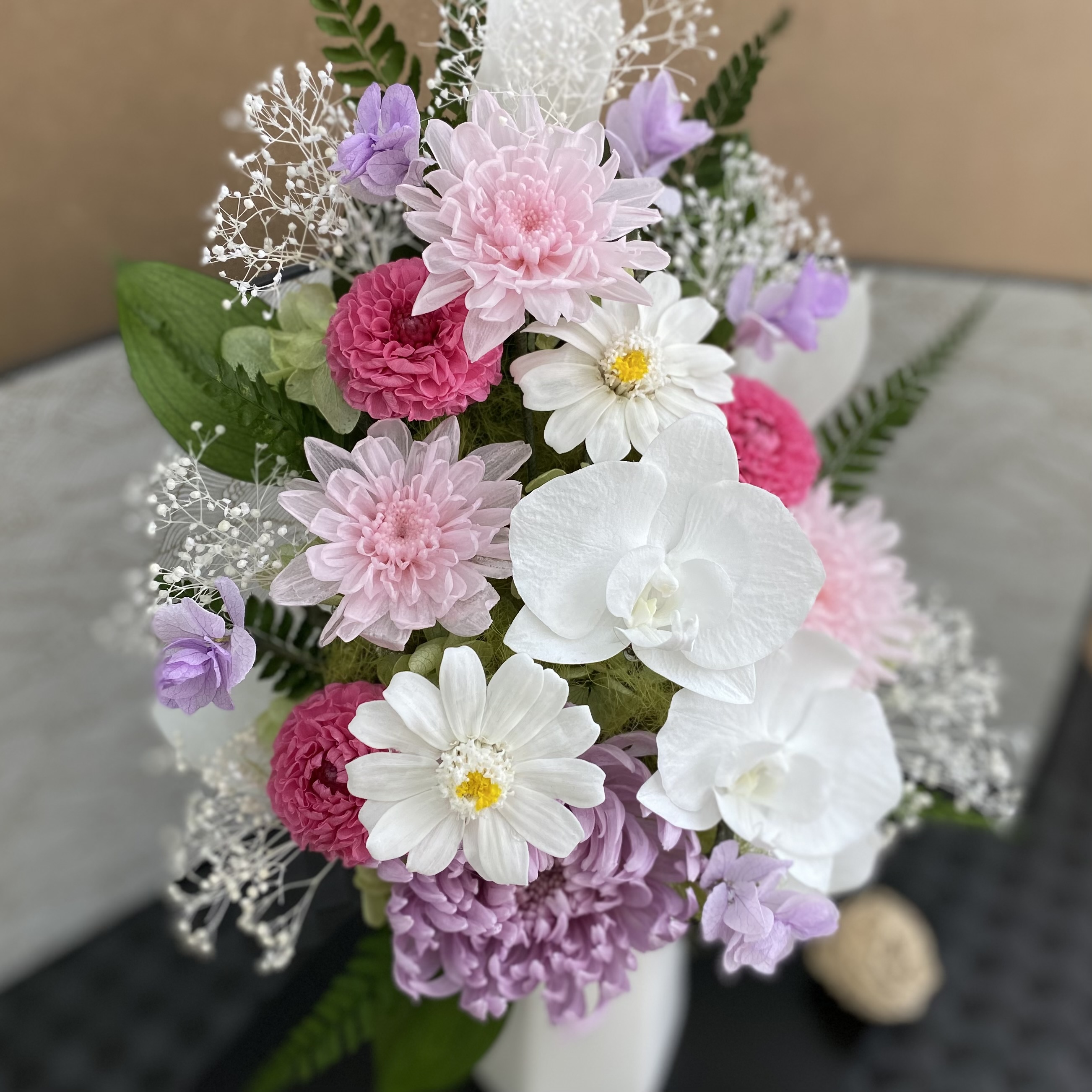 「桃華（ももか）」のご紹介