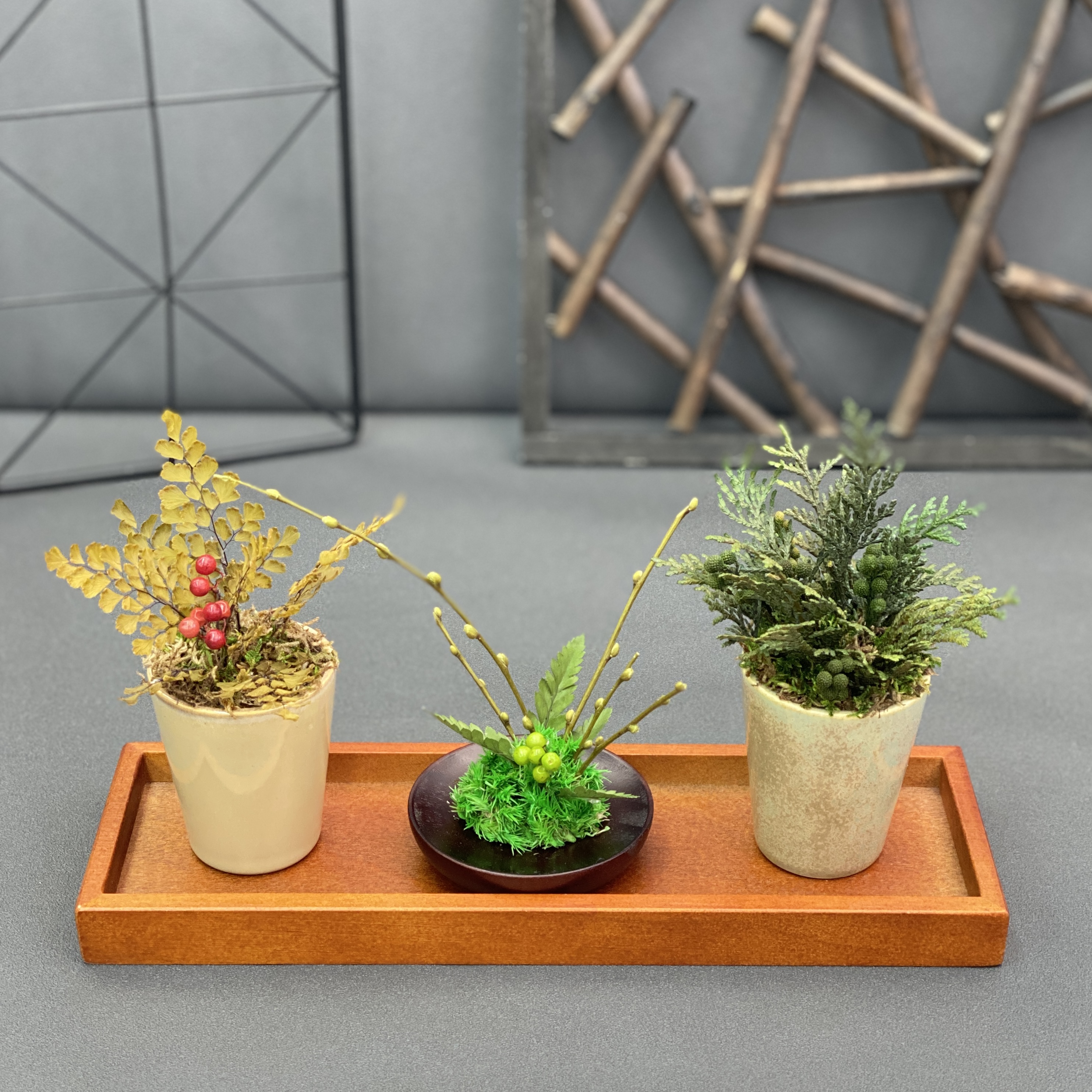 新商品「ミニ盆栽・ミニ観葉植物」のご紹介