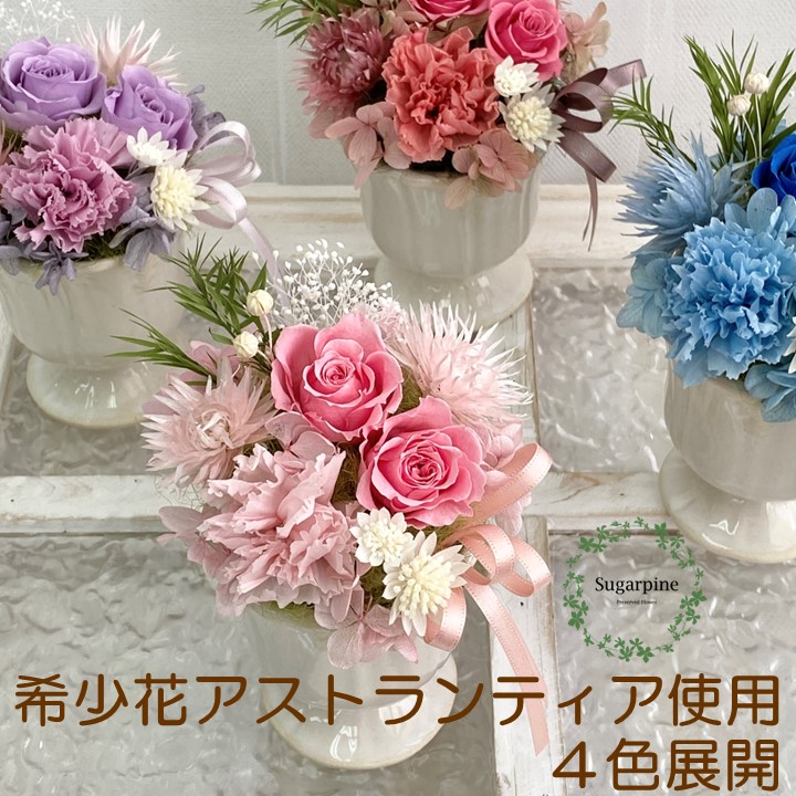 「リル」のご紹介