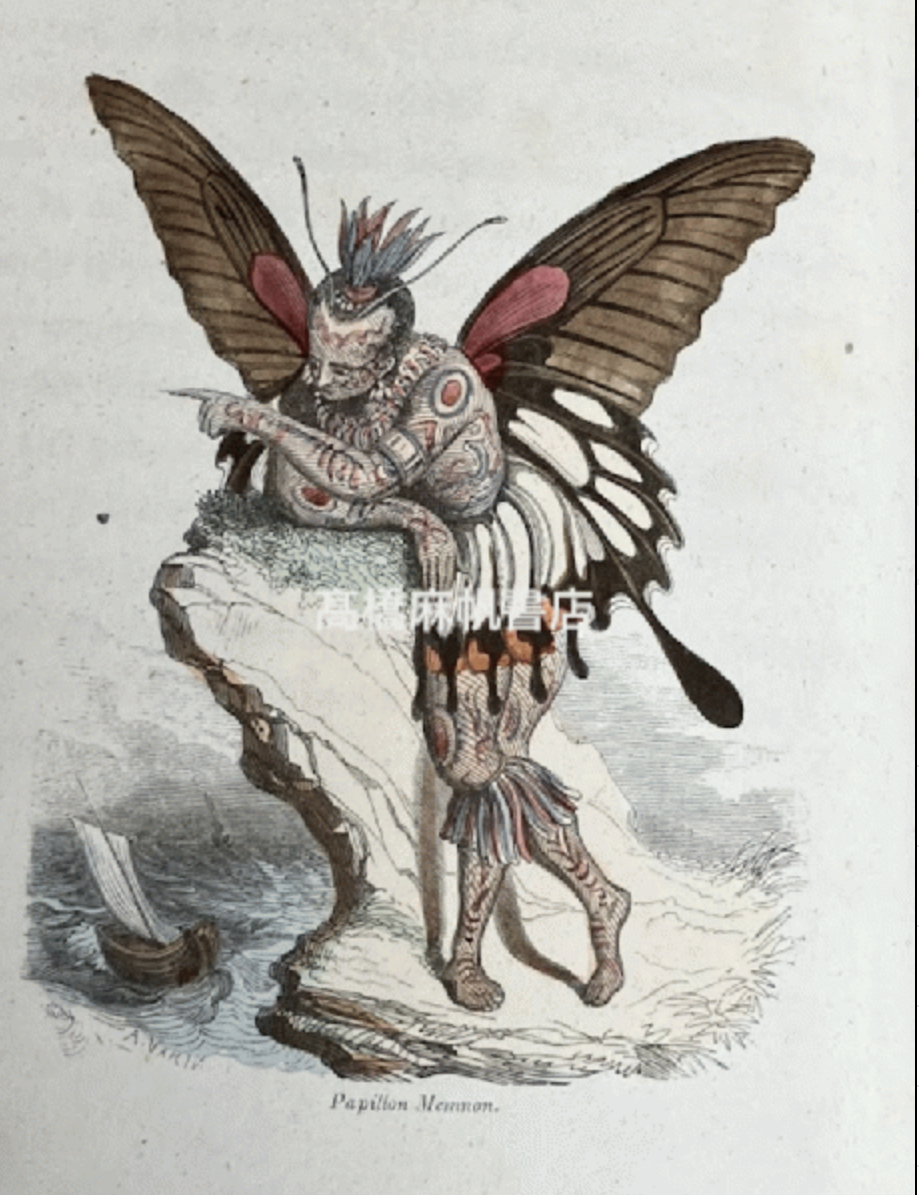 ロマン主義挿絵本　蝶々