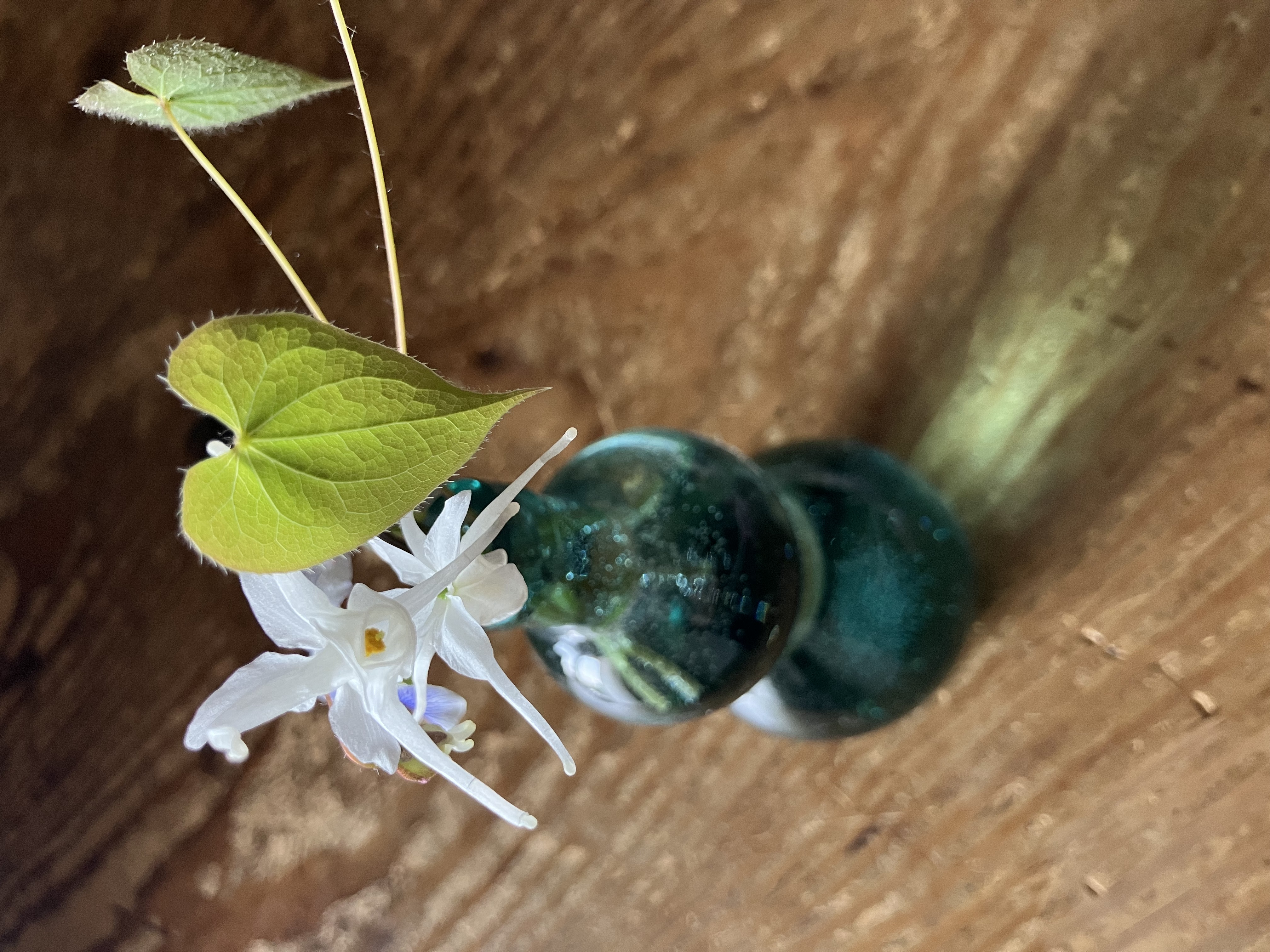 3月終わりと4月はじめのお店番