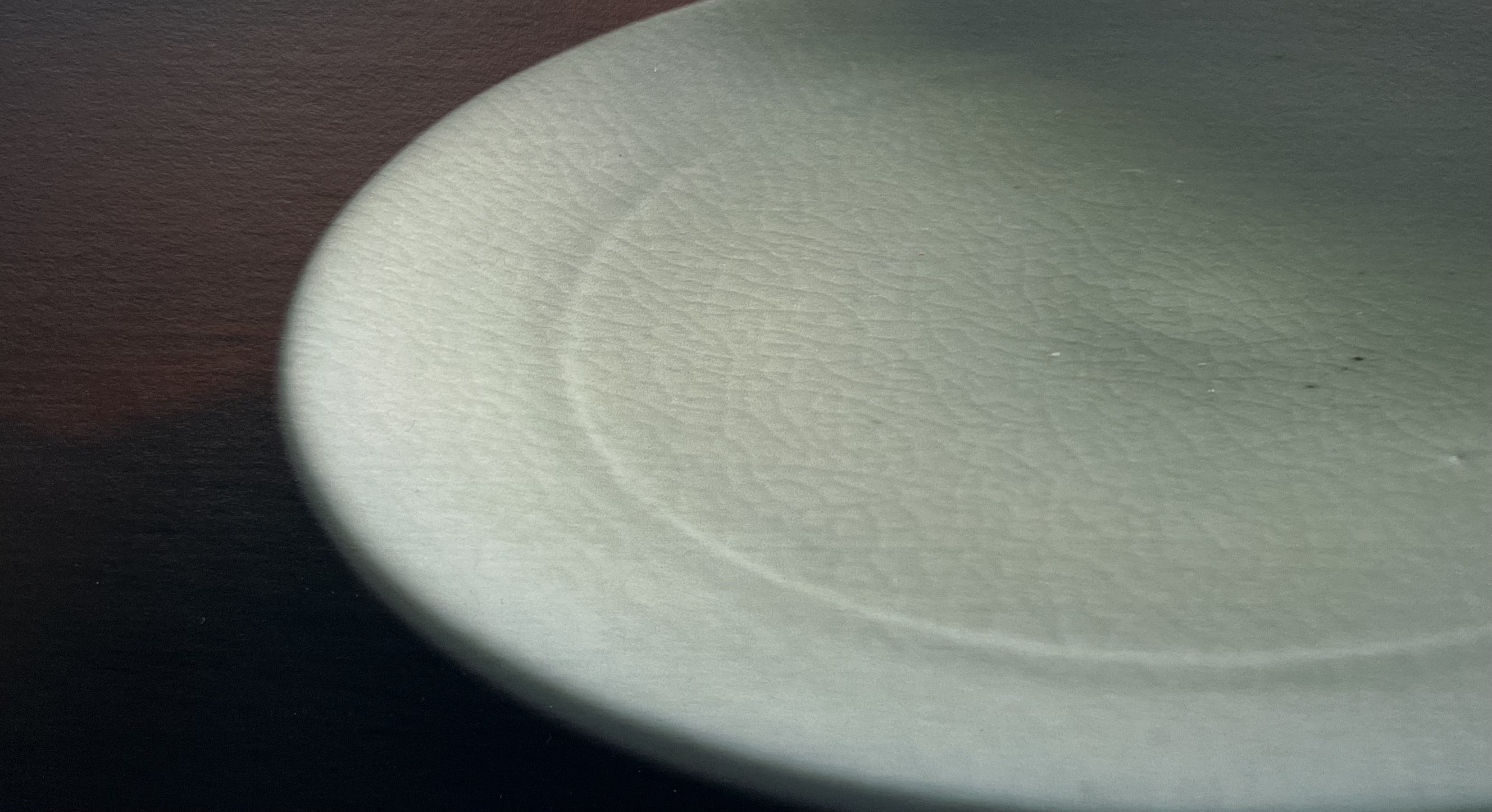 高橋麻帆書店と浅井庸佑展