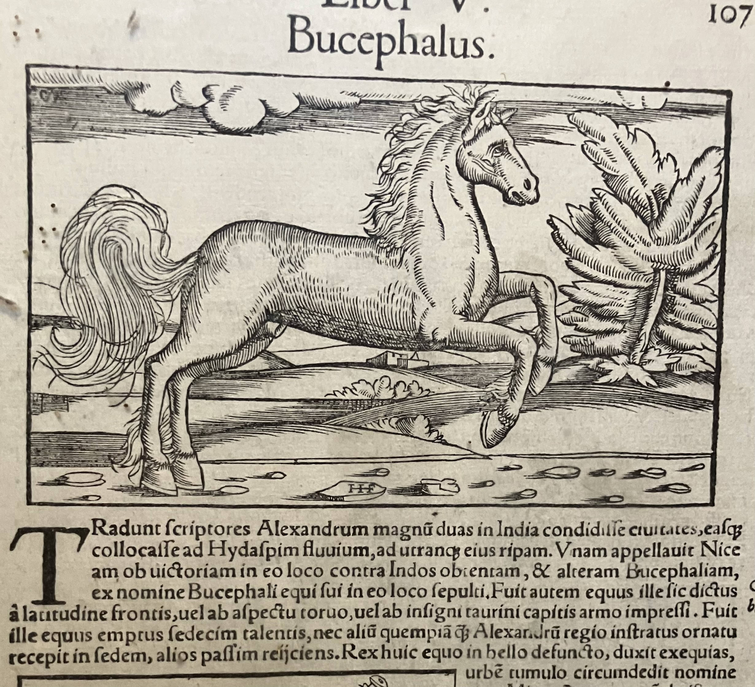 あけましておめでとうございます