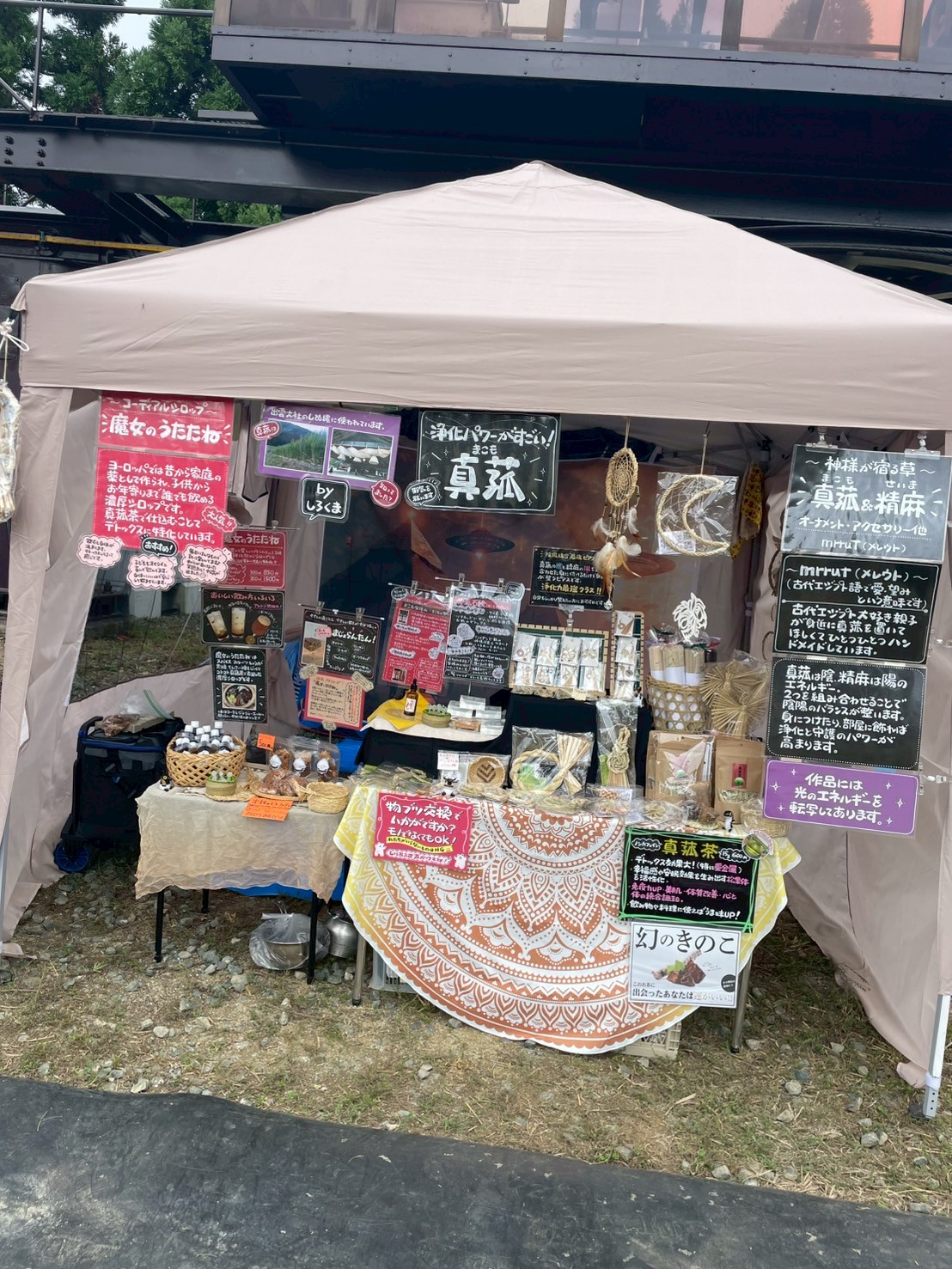 販売再開いたしました