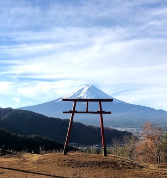 山梨県河口湖浅間神社　すぎのきにて販売開始