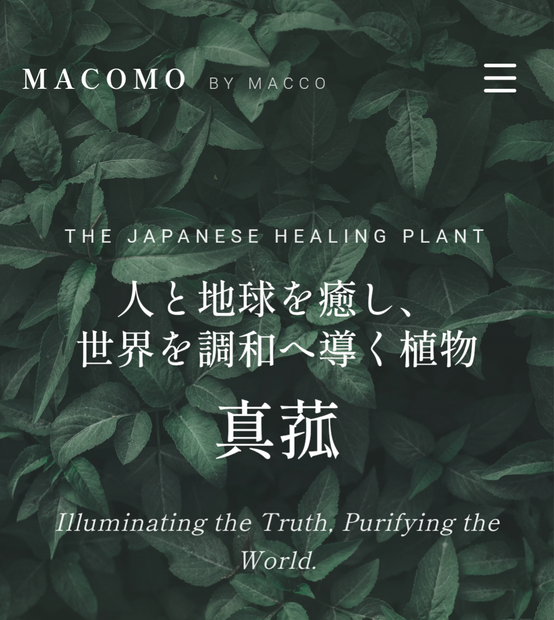 真菰作品が空を飛びます