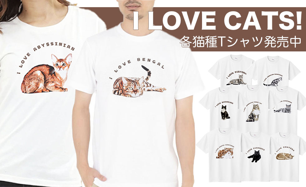 人気No1！猫好きpresents！猫を愛する人のためのI LOVE CATS！Tシャツ