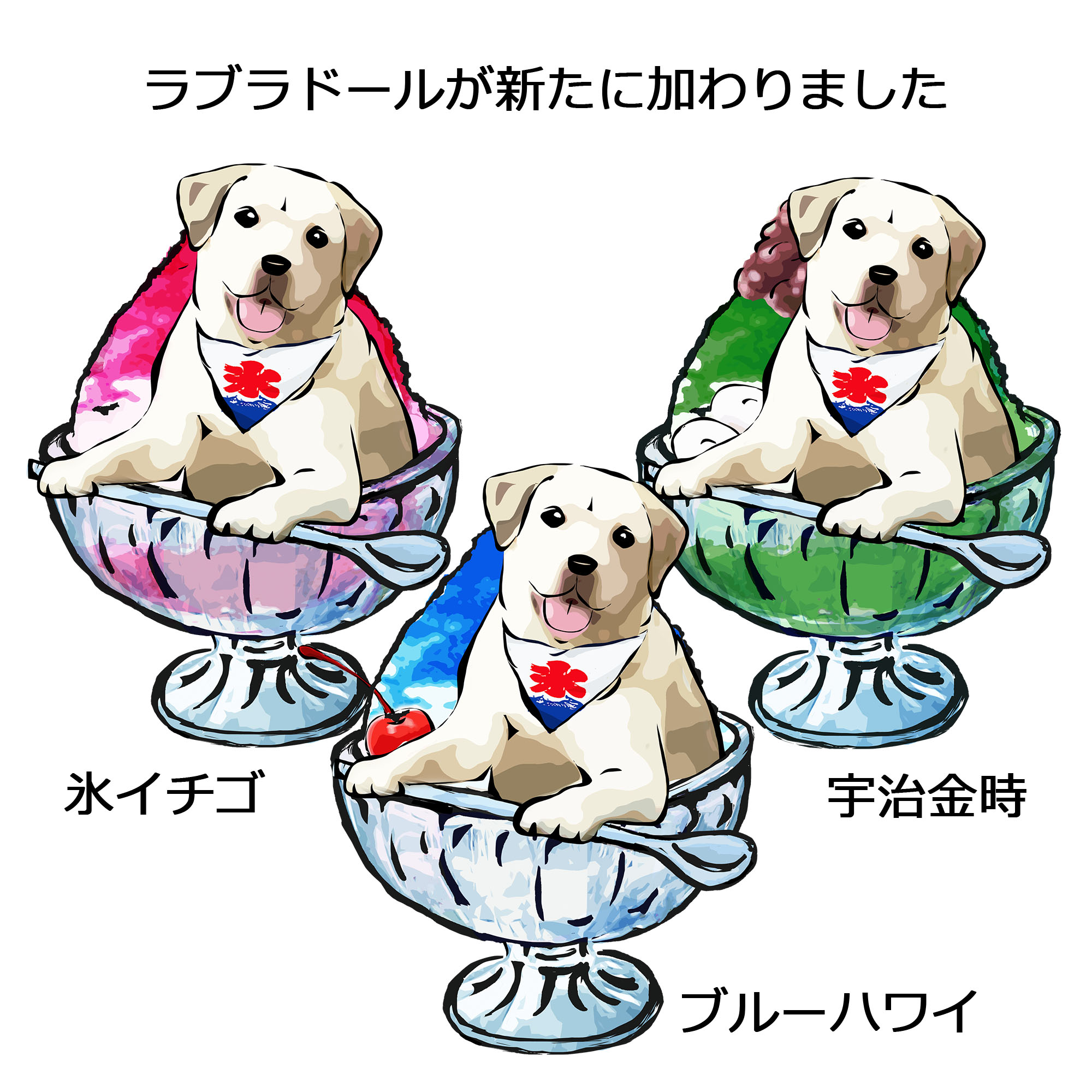 かき氷犬シリーズのTシャツ3種が新登場です
