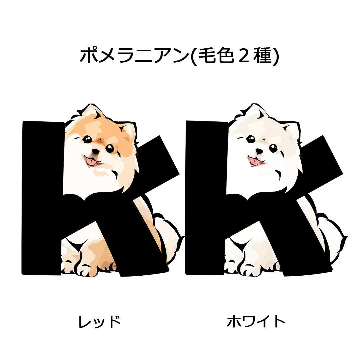 アルファベット犬シリーズにポメラニアンが登場