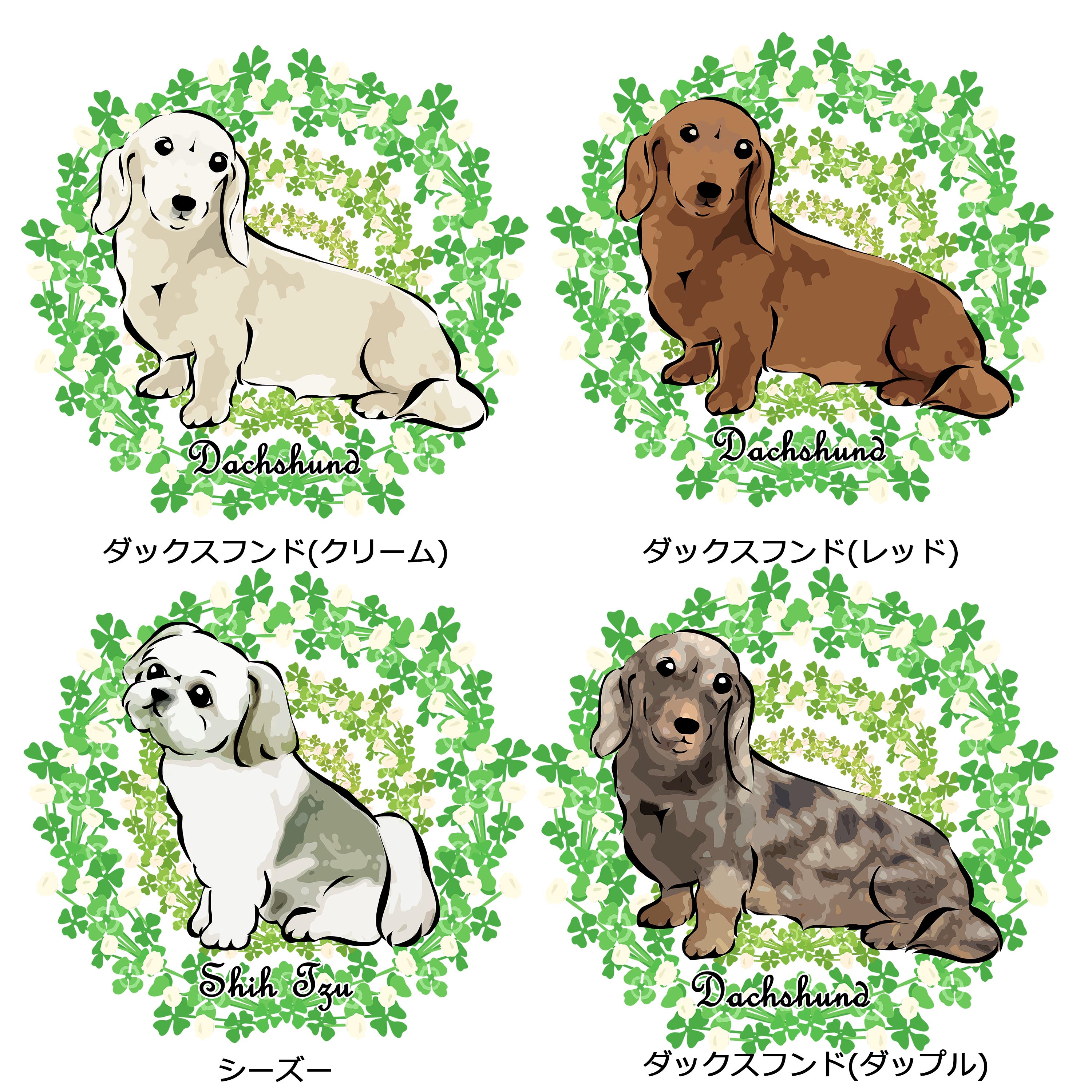 ダックスフンドにダップルが加わりました