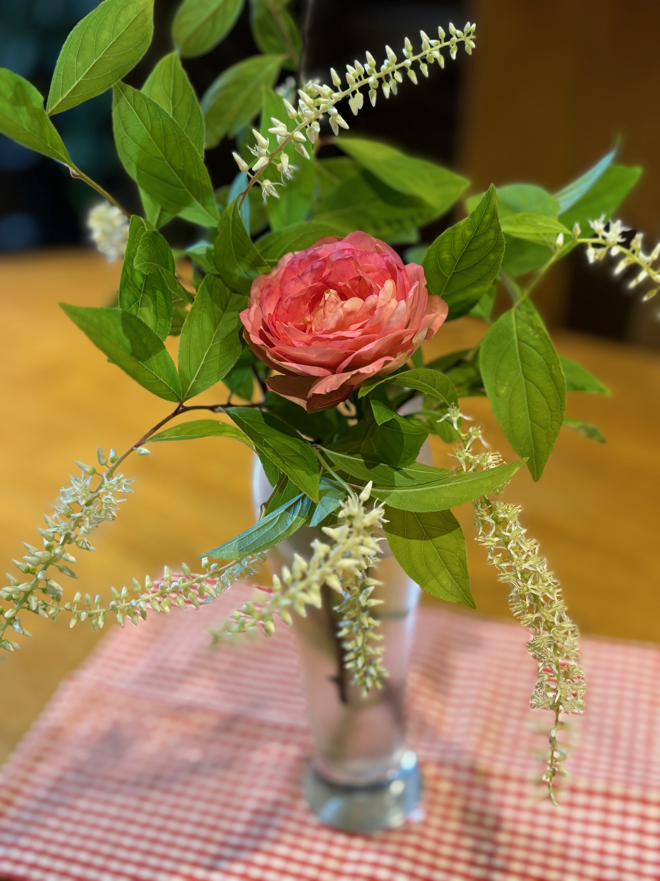 今日のひと枝　バラとコバノズイナ