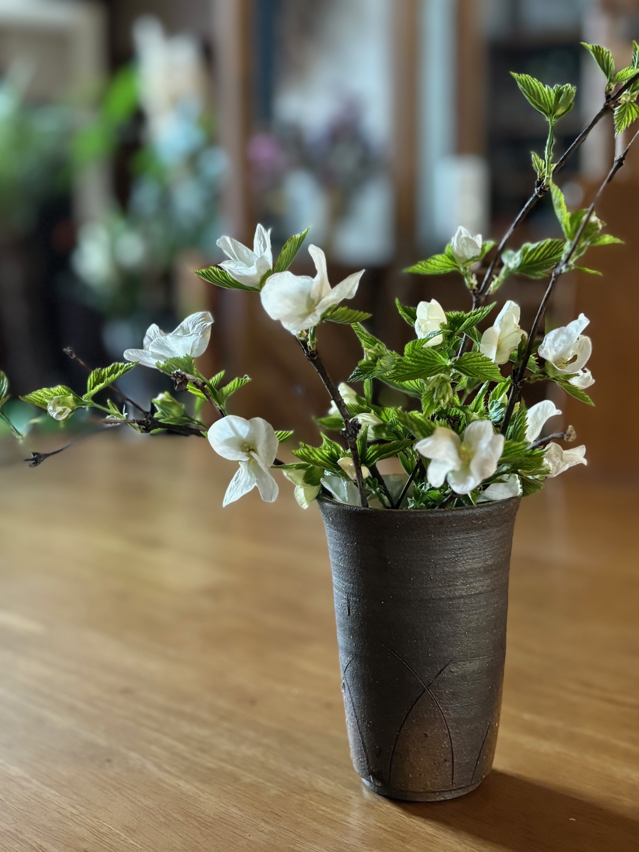 今日のひと枝　シロヤマブキ