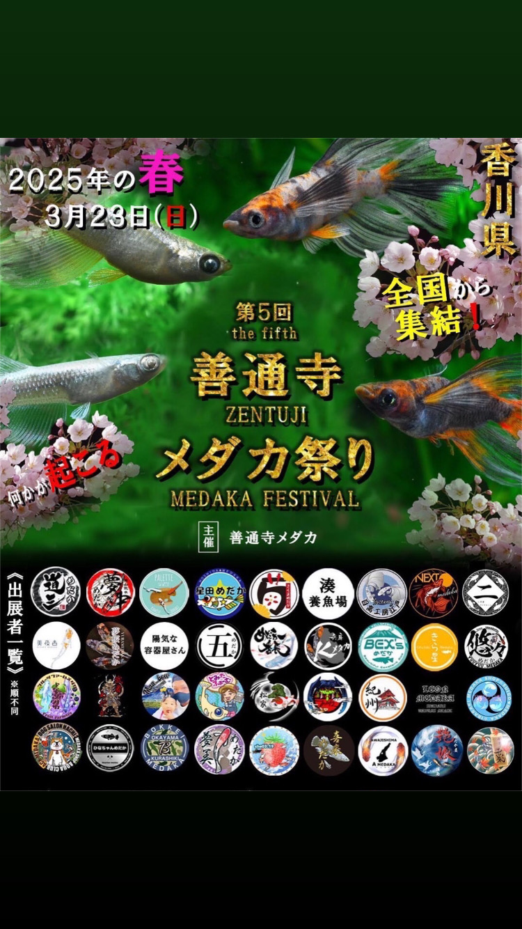 第5回善通寺メダカ祭　ドルクスあかねの出店内容につきまして