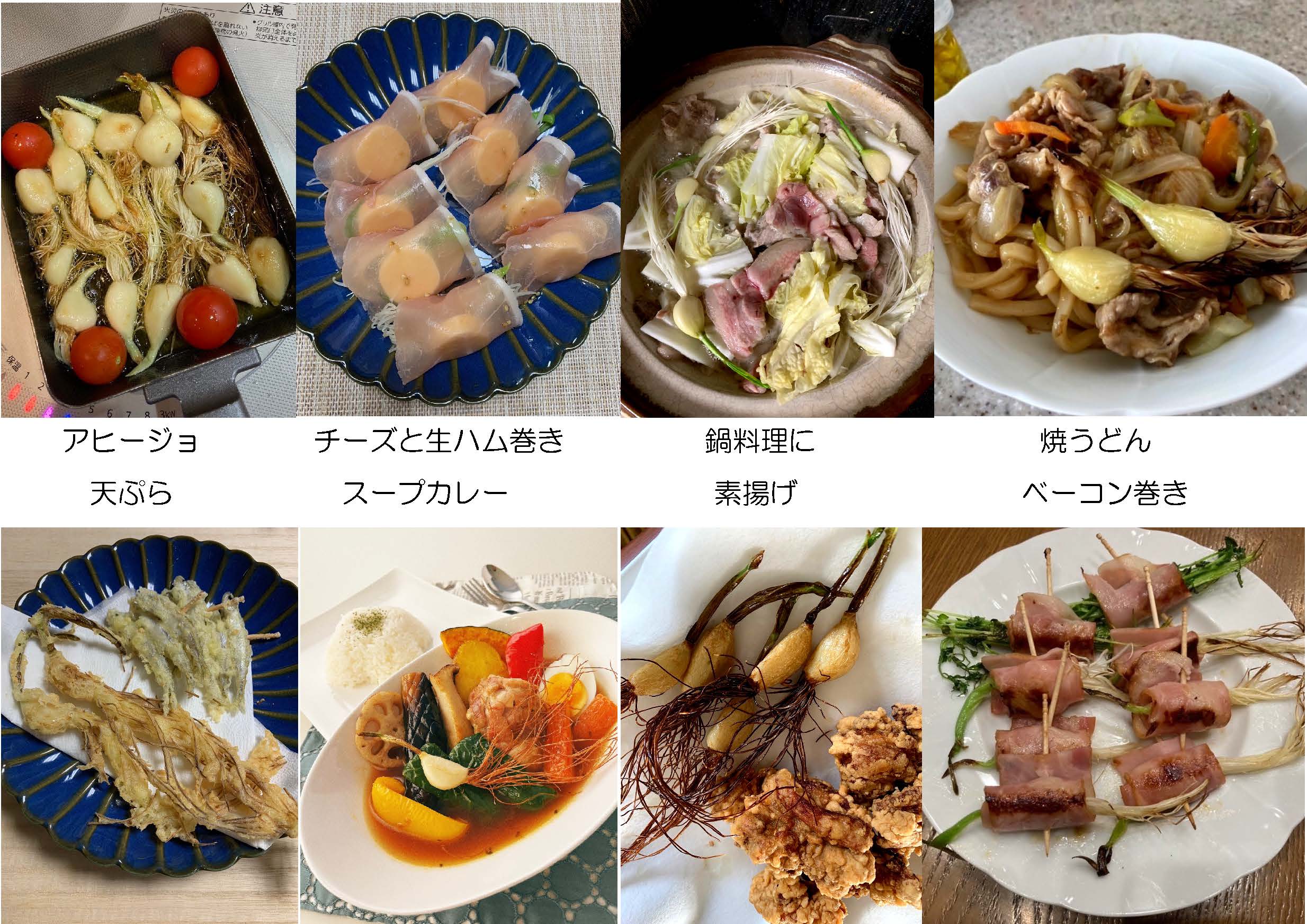 あしながにんにくレシピ♪