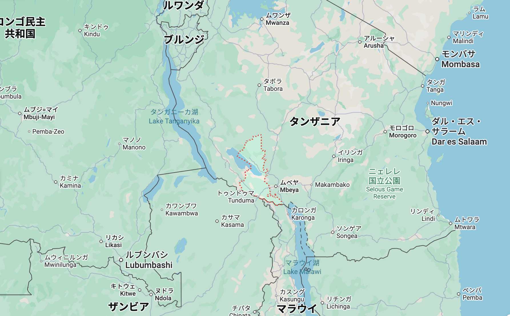 【新商品】タンザニア　ンソンガ　ウォッシュド