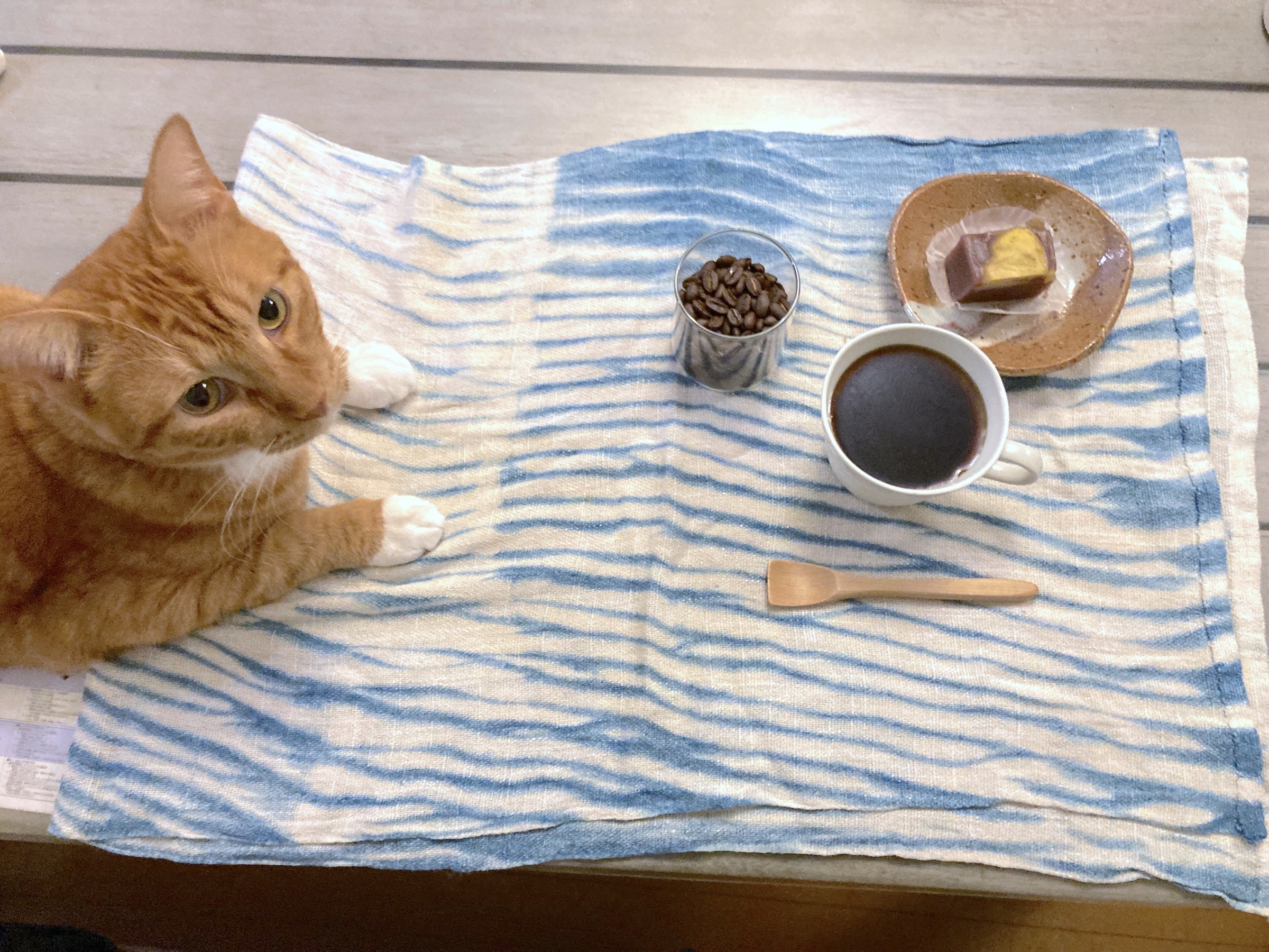 月夜と珈琲からのご挨拶