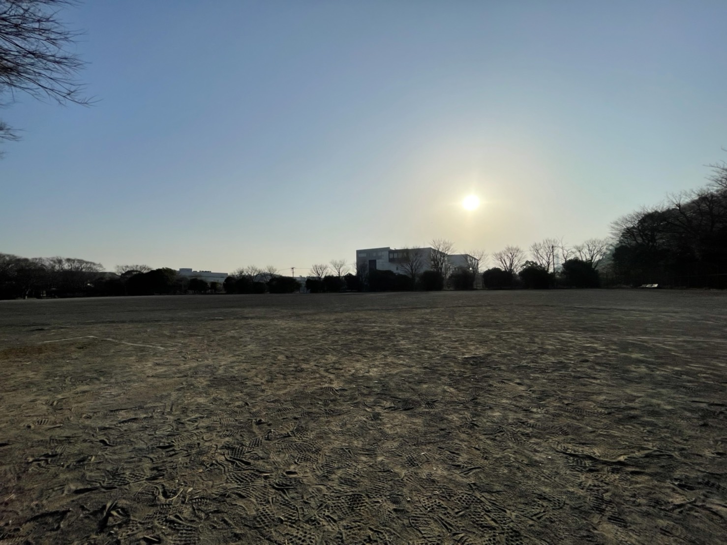 ぼくらの神明公園での出来事