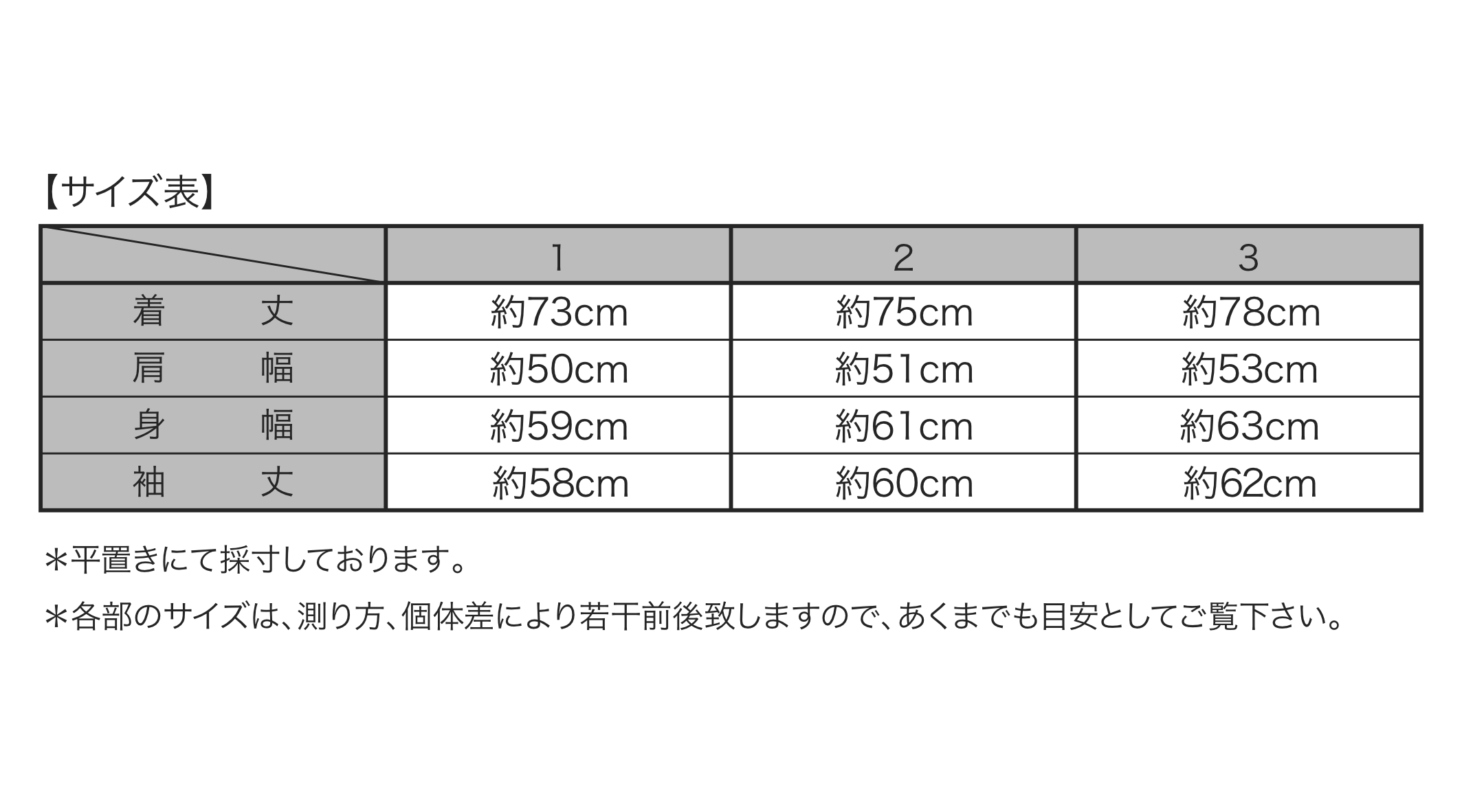 アナーキーシャツのオーダー方法 How to Order an Anarchy Shirt.